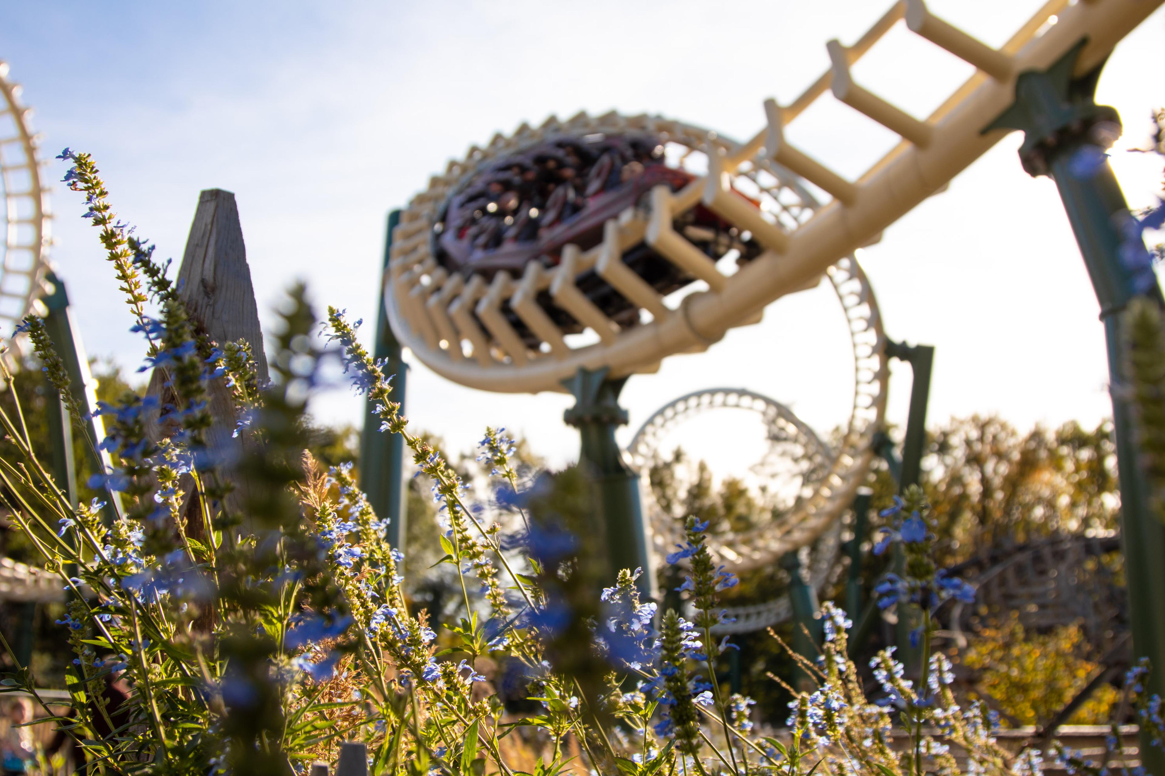 Attractiepark de Efteling nabij Kasteel Steenenburg