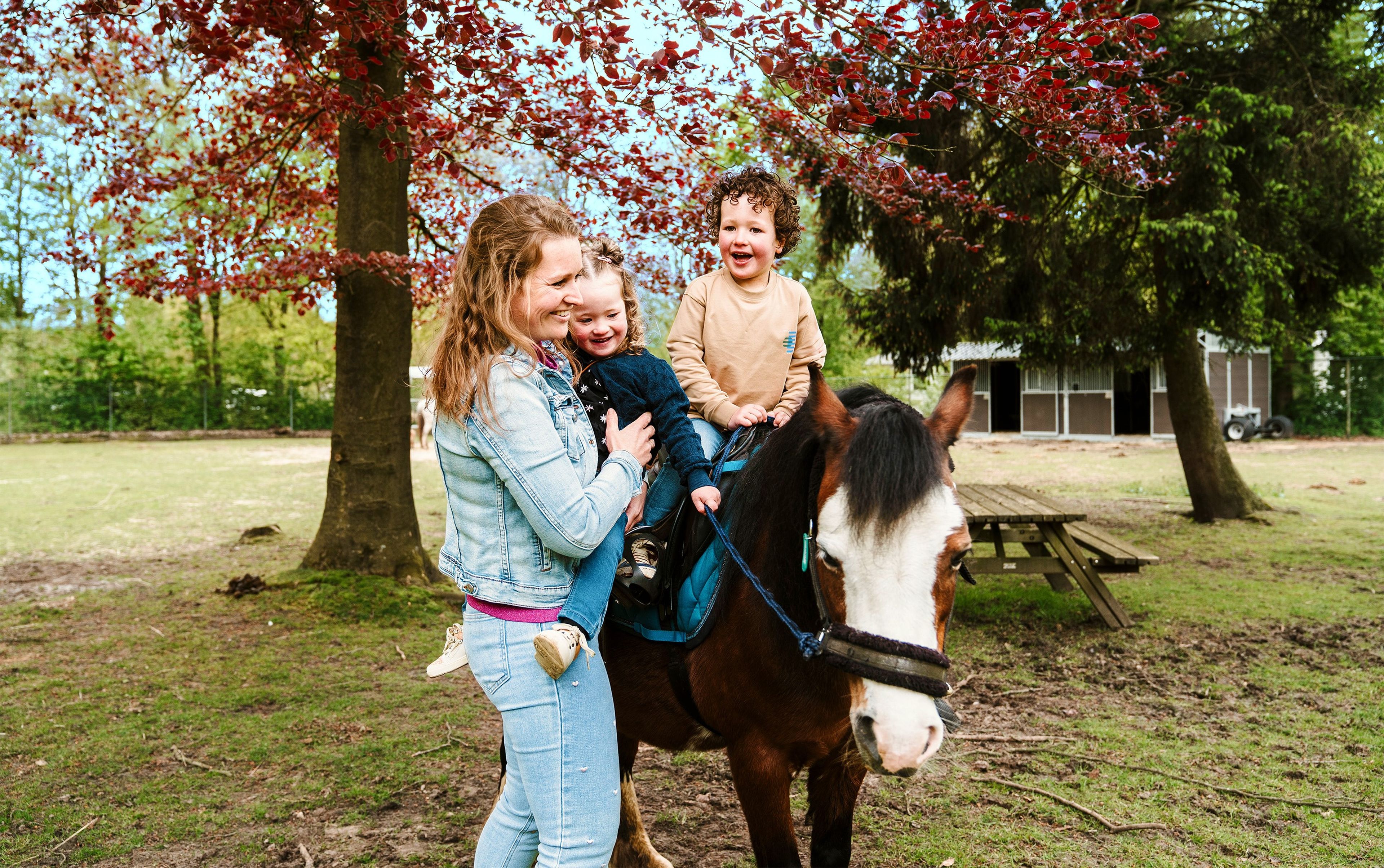 Een jongen maakt een ritje op de pony terwijl zijn gezin toekijkt bij Vakantiepark Dierenbos.