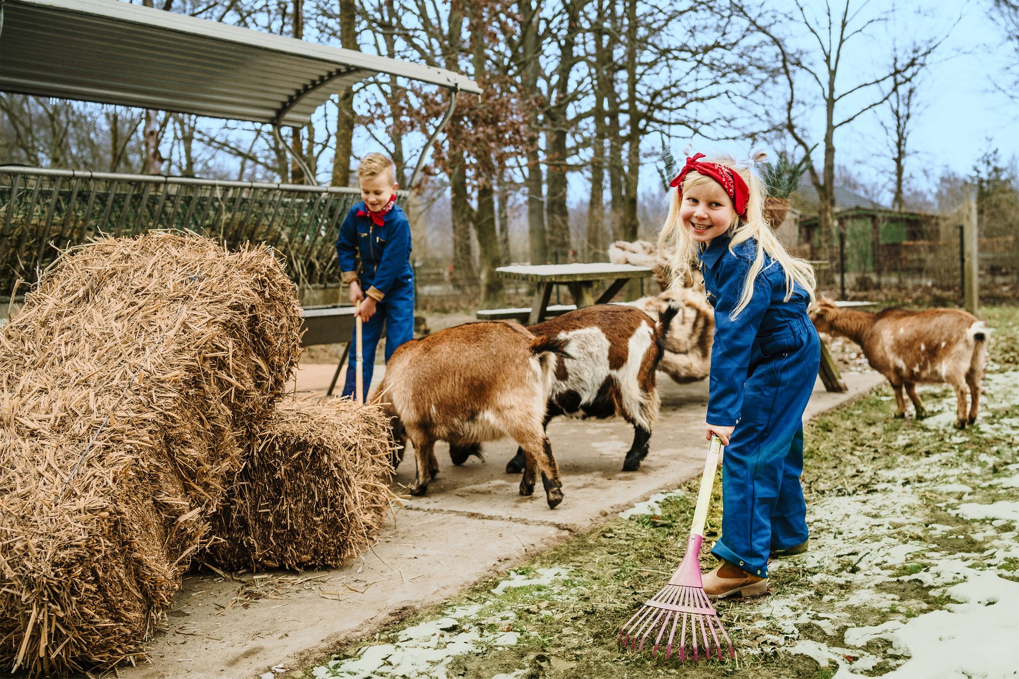 Kinderen harken bij de geitjes bij vakantiepark Dierenbos