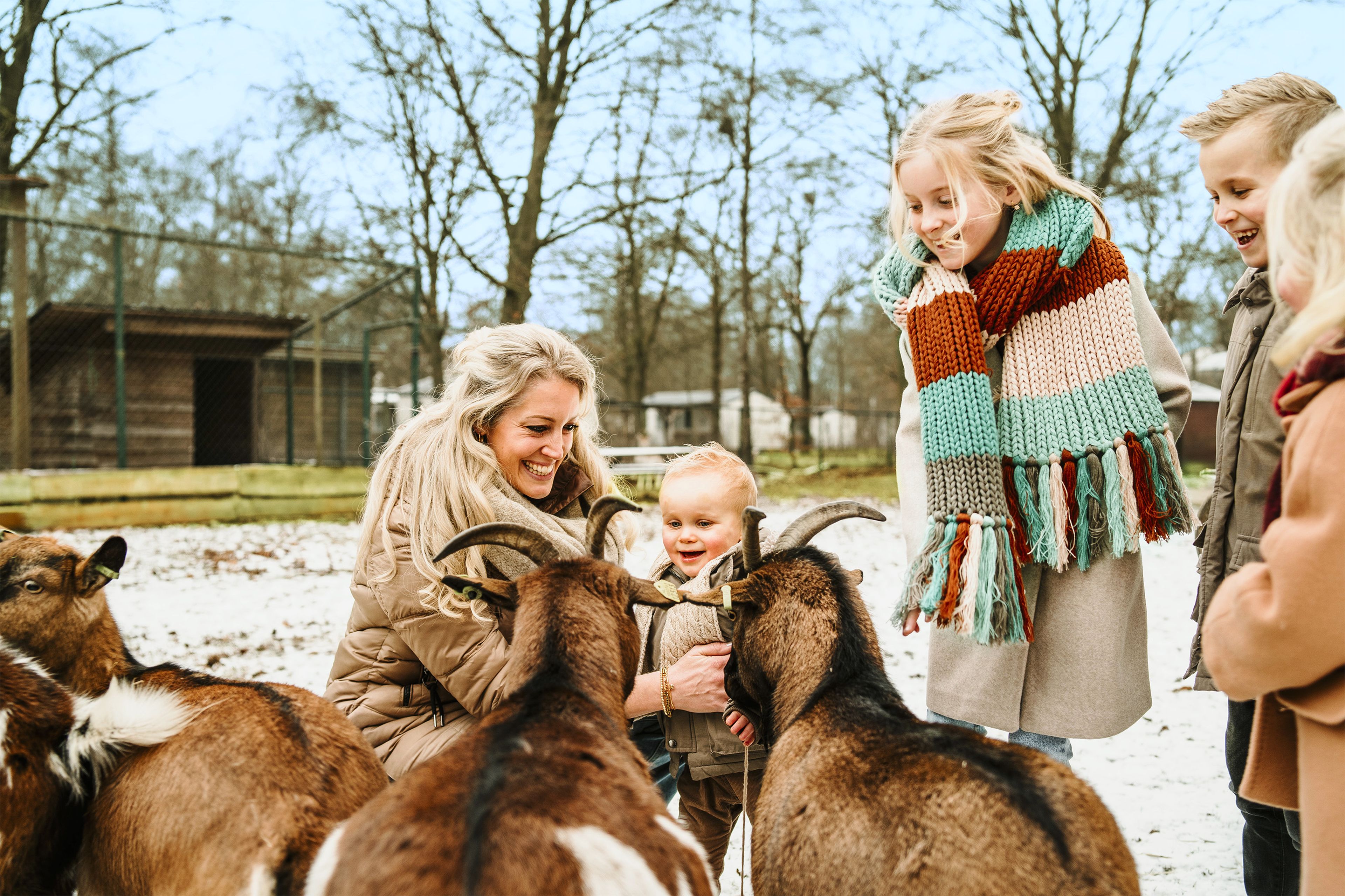 Een vrouw en kinderen bij de geiten in Vakantiepark Dierenbos.