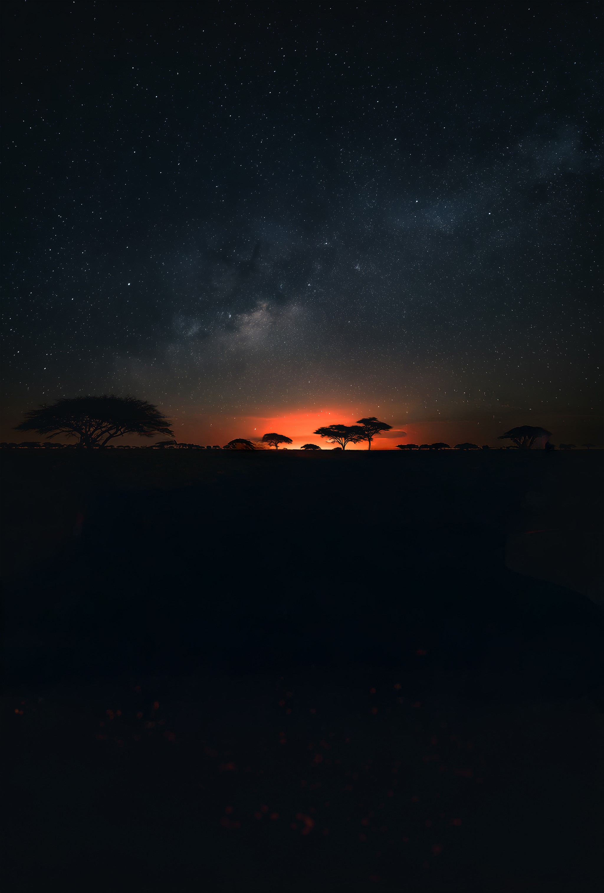 Achtergrond Savanne sky Light Safari Beekse Bergen