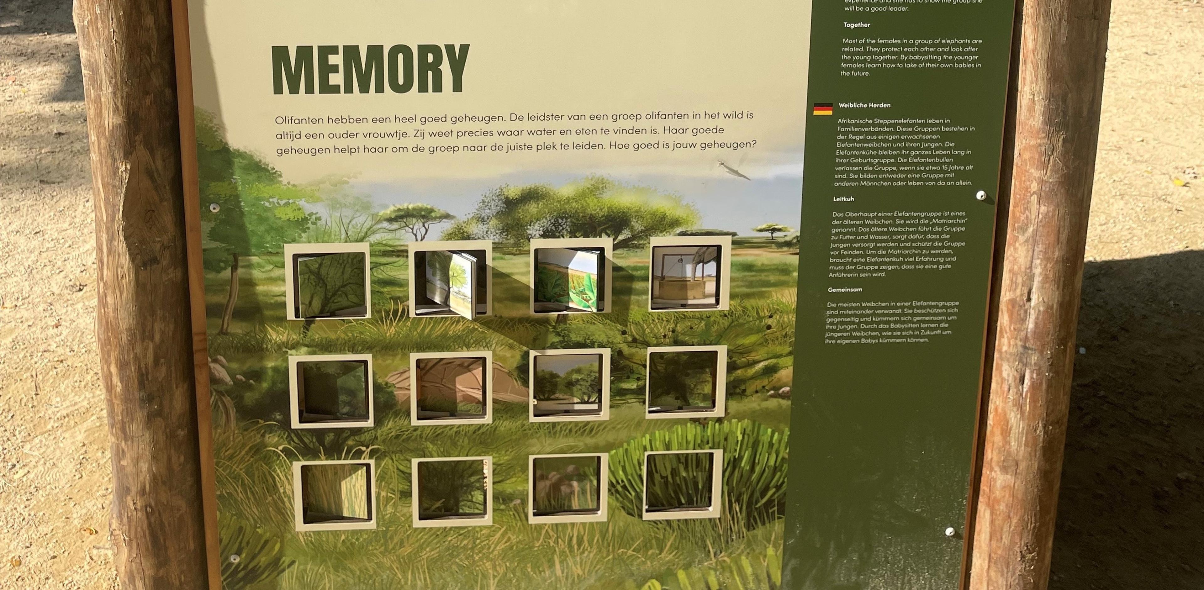 Het memoryspel als interactief bord bij Safaripark Beekse Bergen.