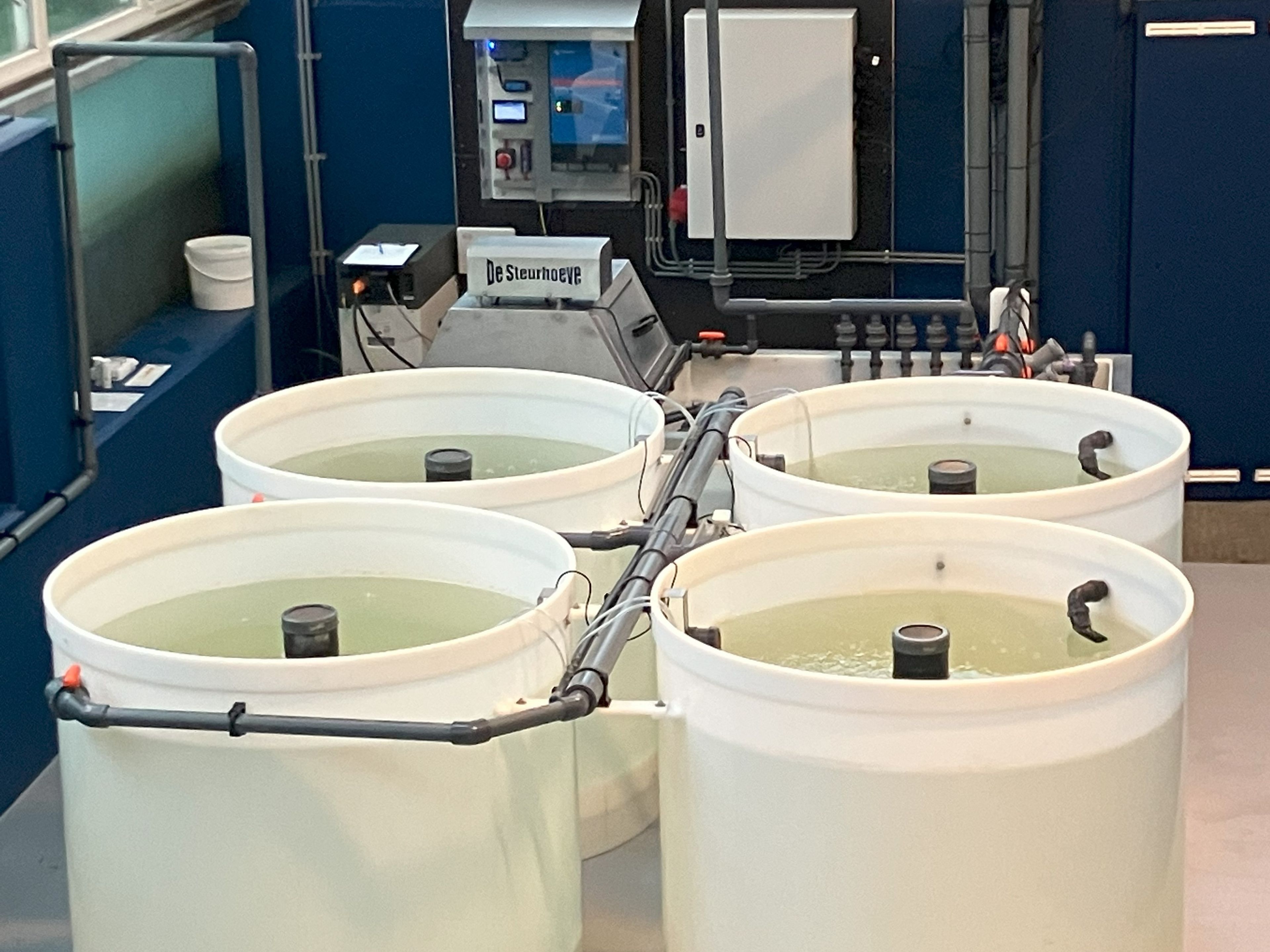 Tanks Zeeforellen AquaZoo Leeuwarden