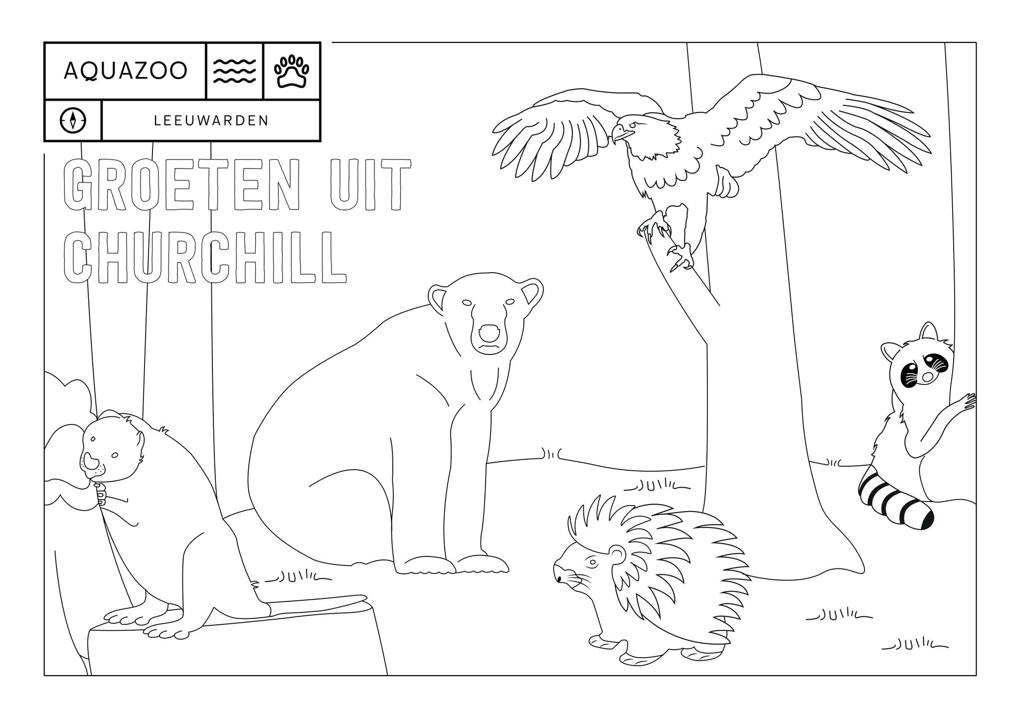 Kleurplaat Churchill AquaZoo Leeuwarden