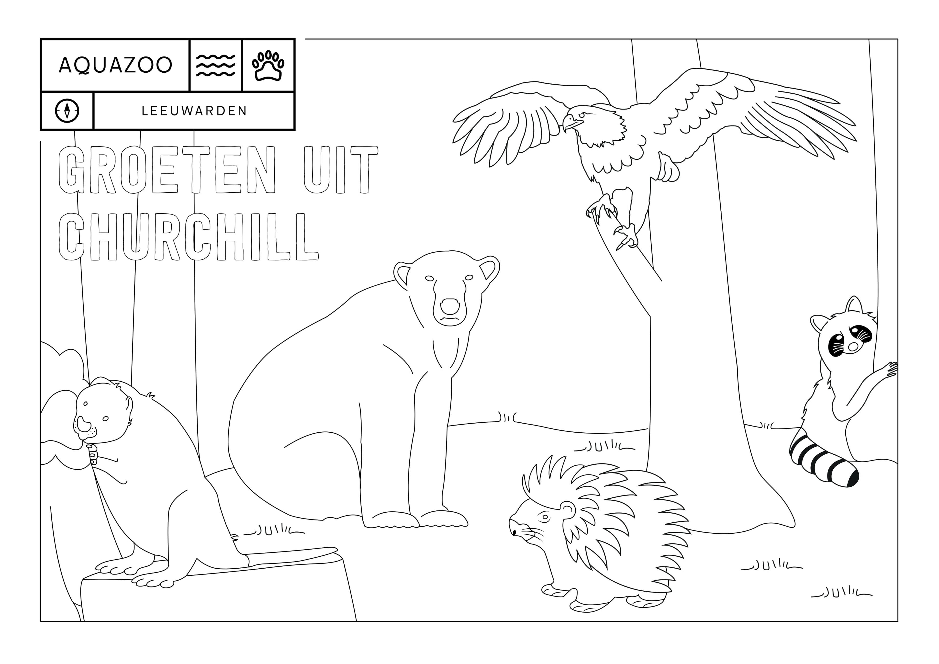 Kleurplaat Churchill AquaZoo Leeuwarden
