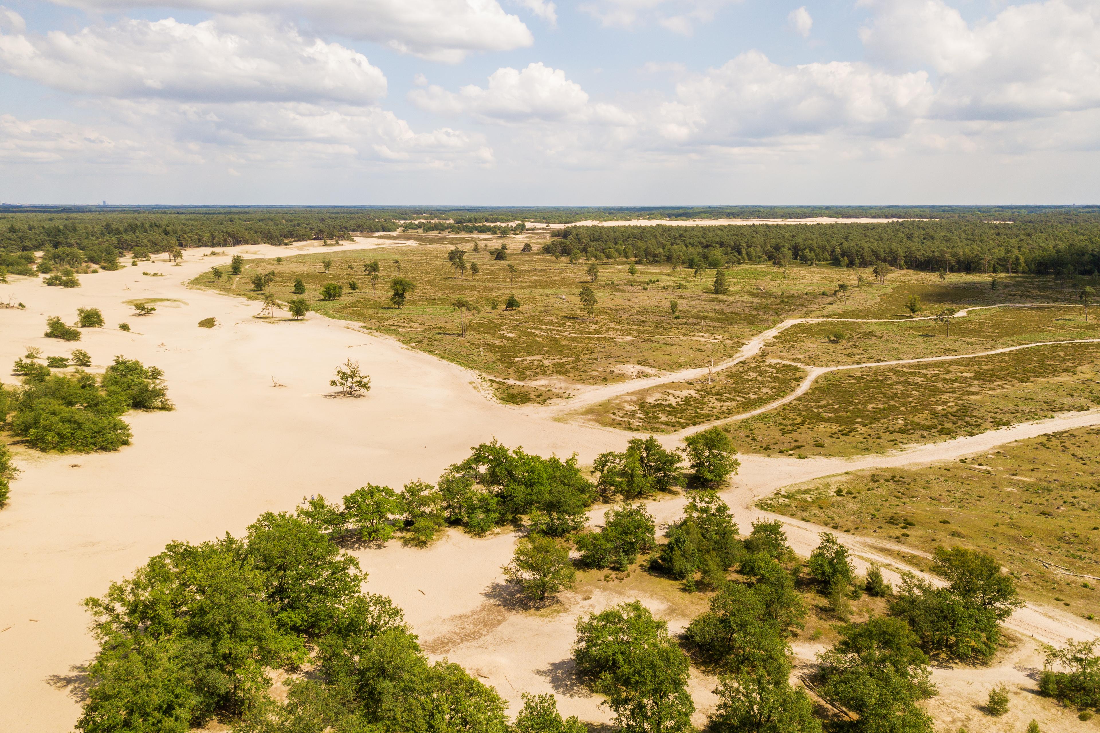 Uitzicht over de Loonse en Drunense duinen vlakbij Beekse Bergen