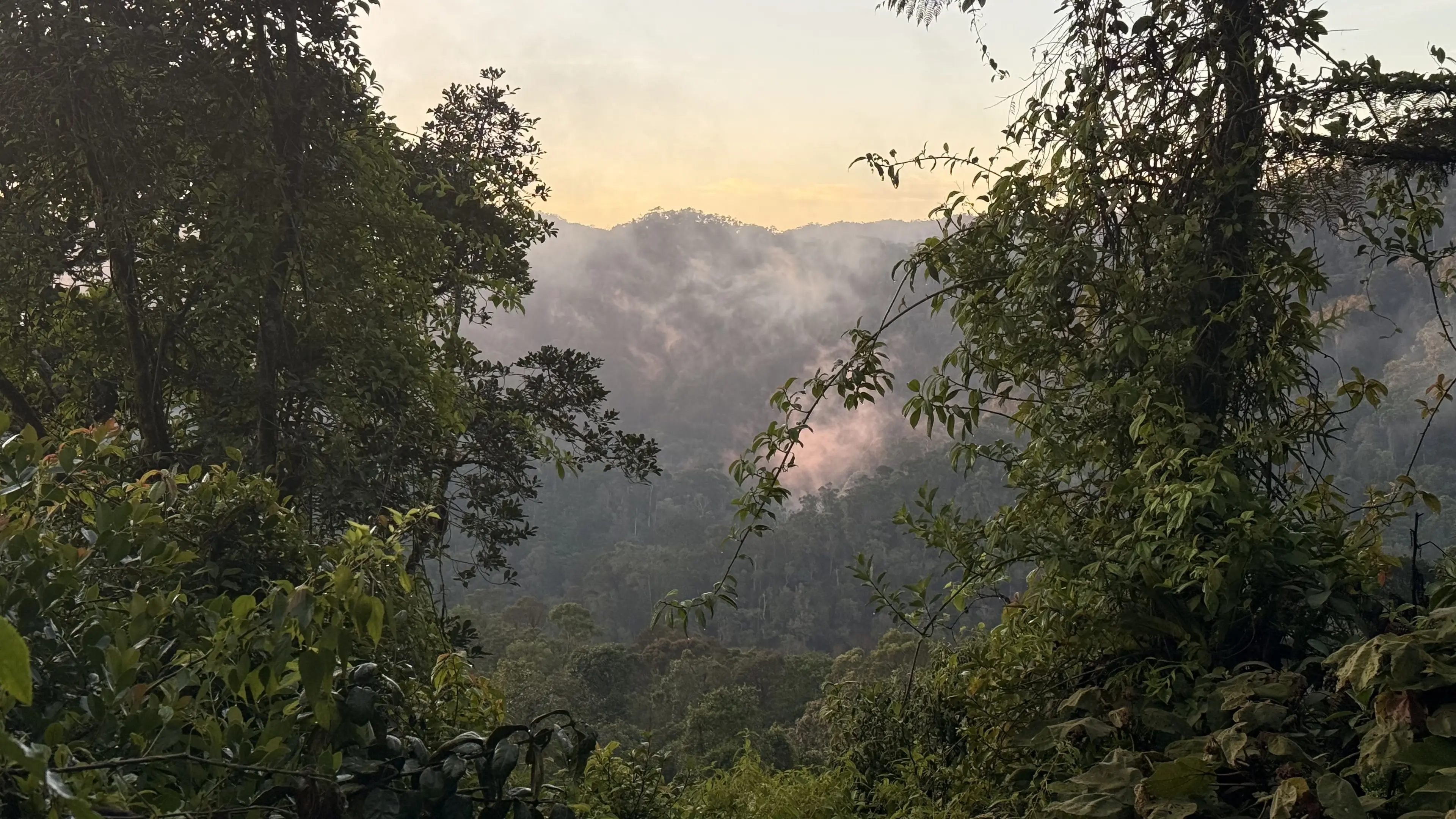 Een foto van een uitkijkpunt gemaakt in Madagaskar, hier draagt de Nederlandse Vereniging van Dierentuinen bij aan een natuurherstelproject, waaronder Beekse Bergen.