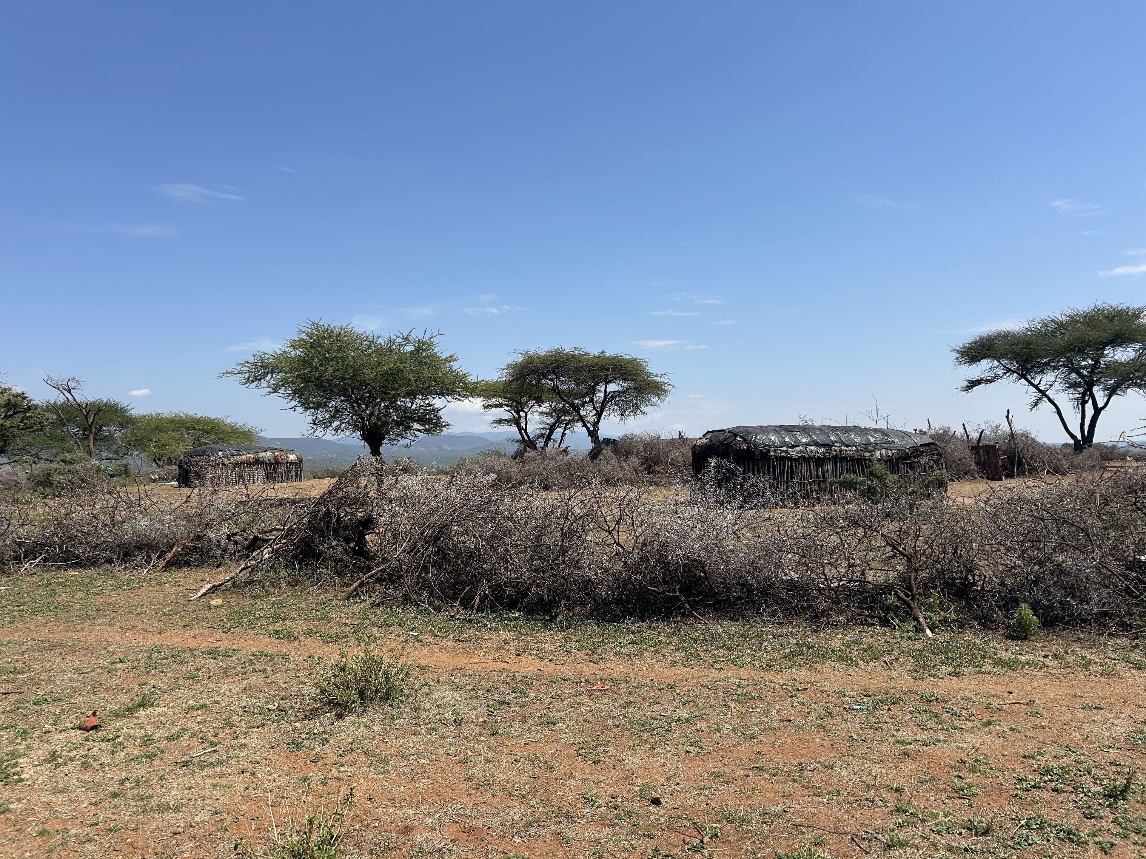 Een boma langs de weg onderweg naar Samburu, Kenia.