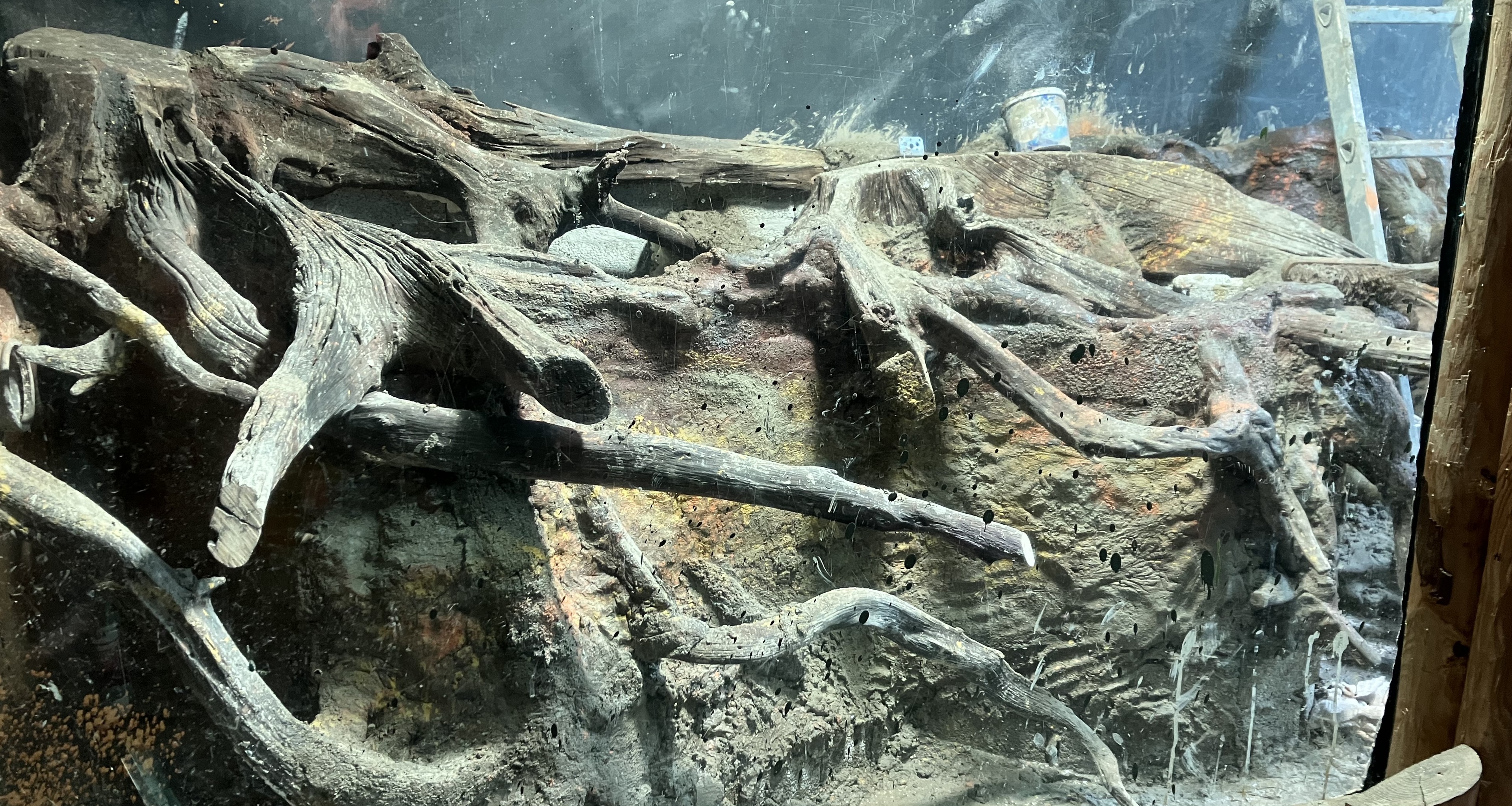 Voortgang verbouwing aquarium AquaZoo Leeuwarden