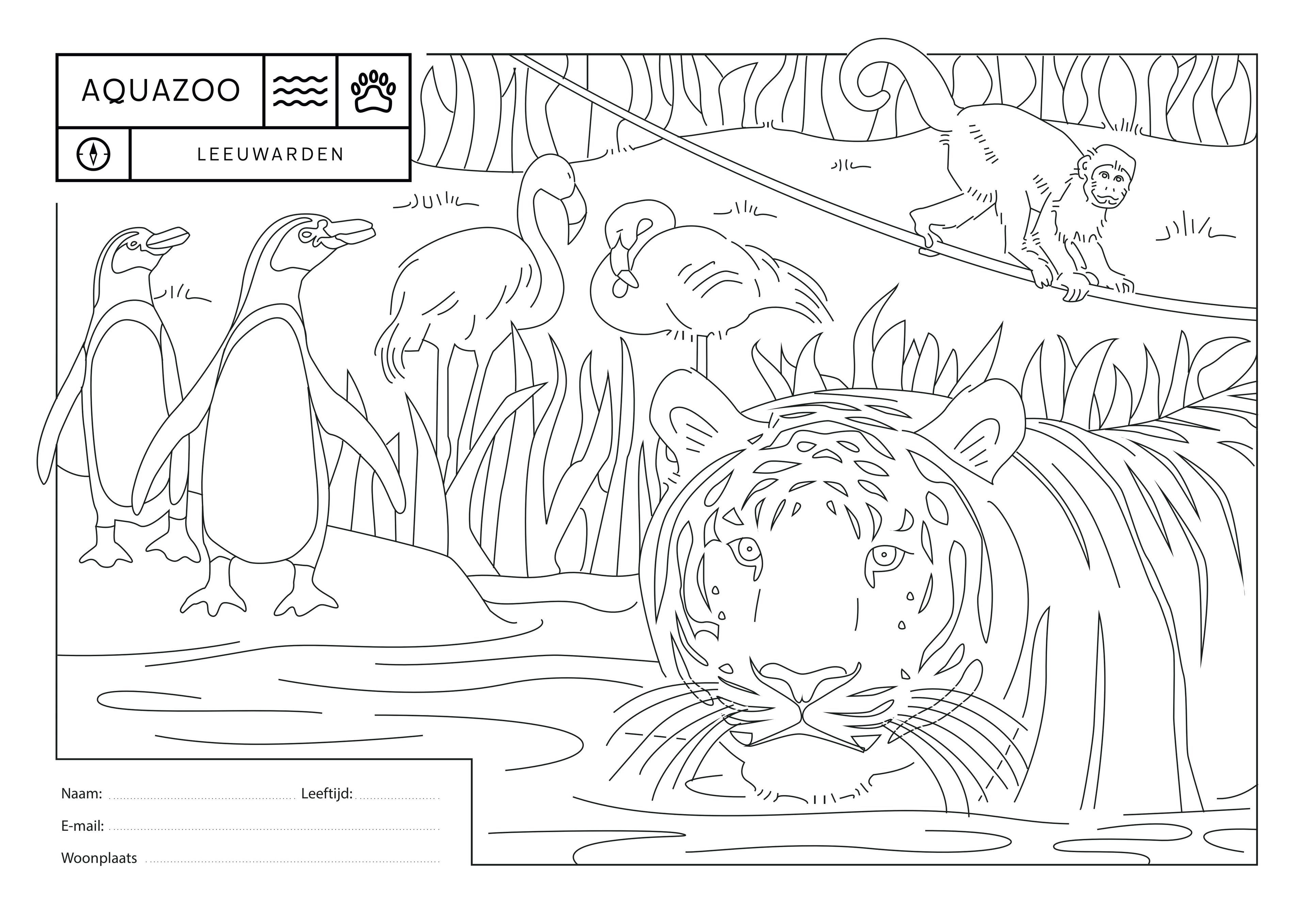 Verschillende dieren kleurplaat AquaZoo Leeuwarden
