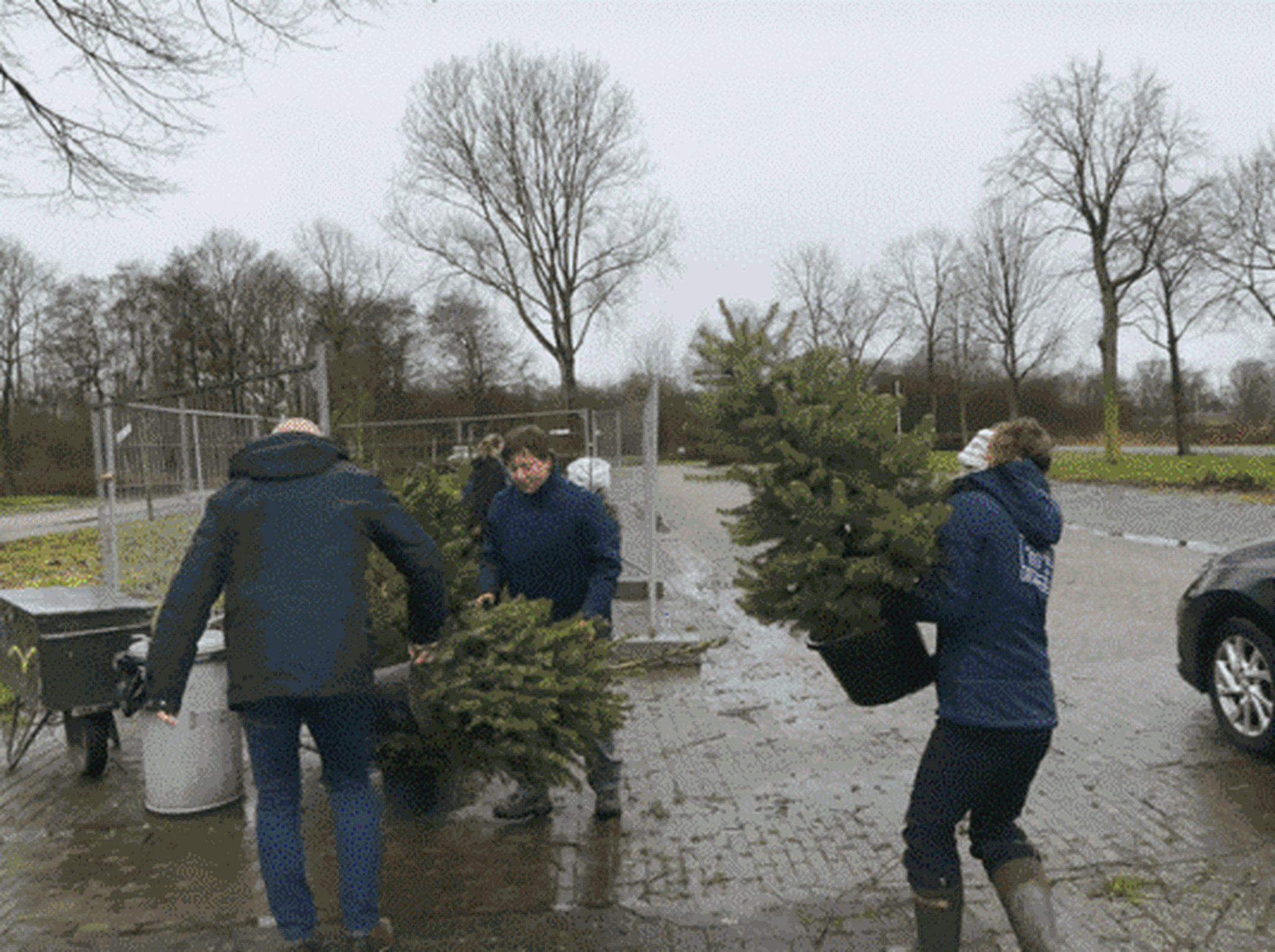Kerstbomen inleveractie bij AquaZoo Leeuwarden