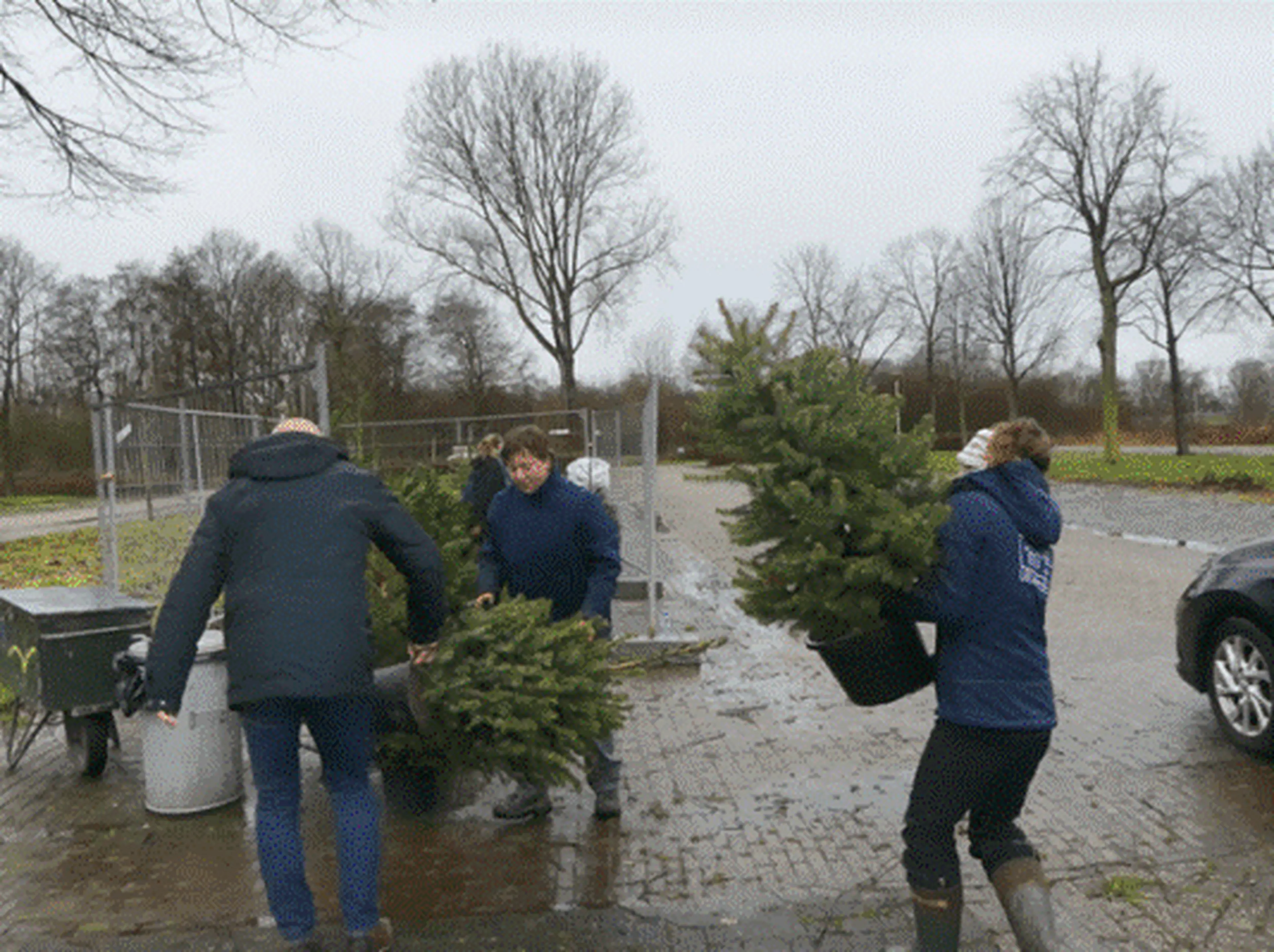 Kerstbomen inleveractie bij AquaZoo Leeuwarden