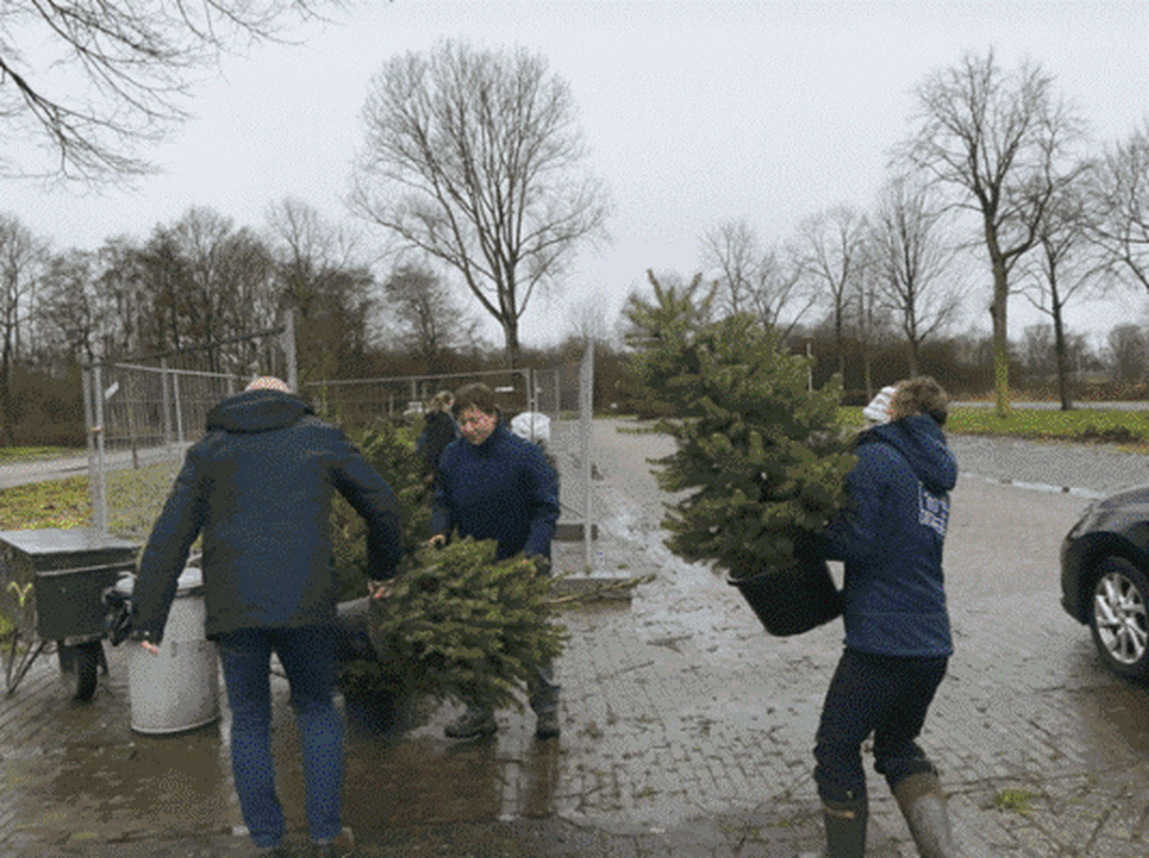 Kerstbomen inleveractie bij AquaZoo Leeuwarden