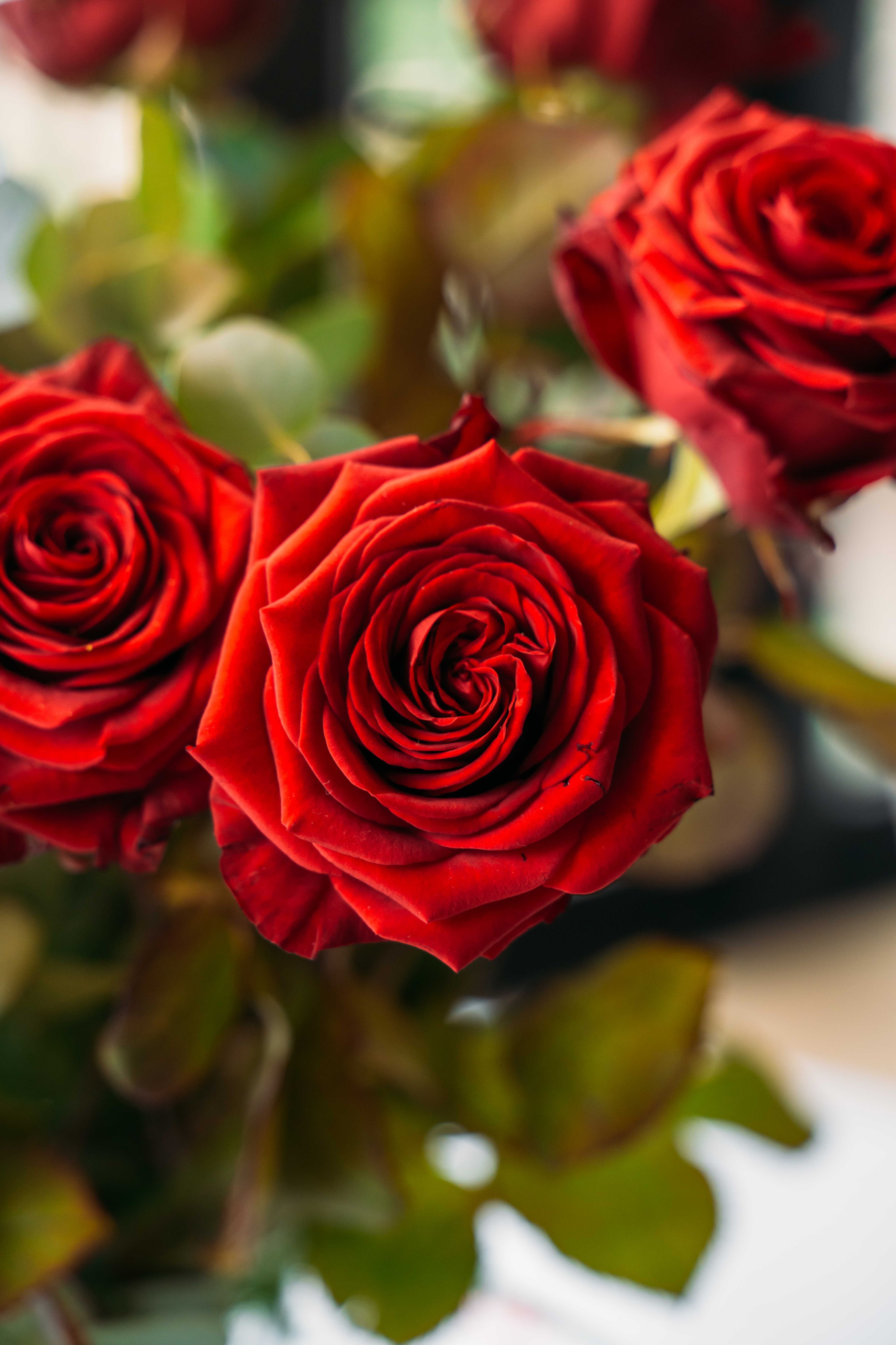 Close-up van rozen in Kasteel Steenenburg