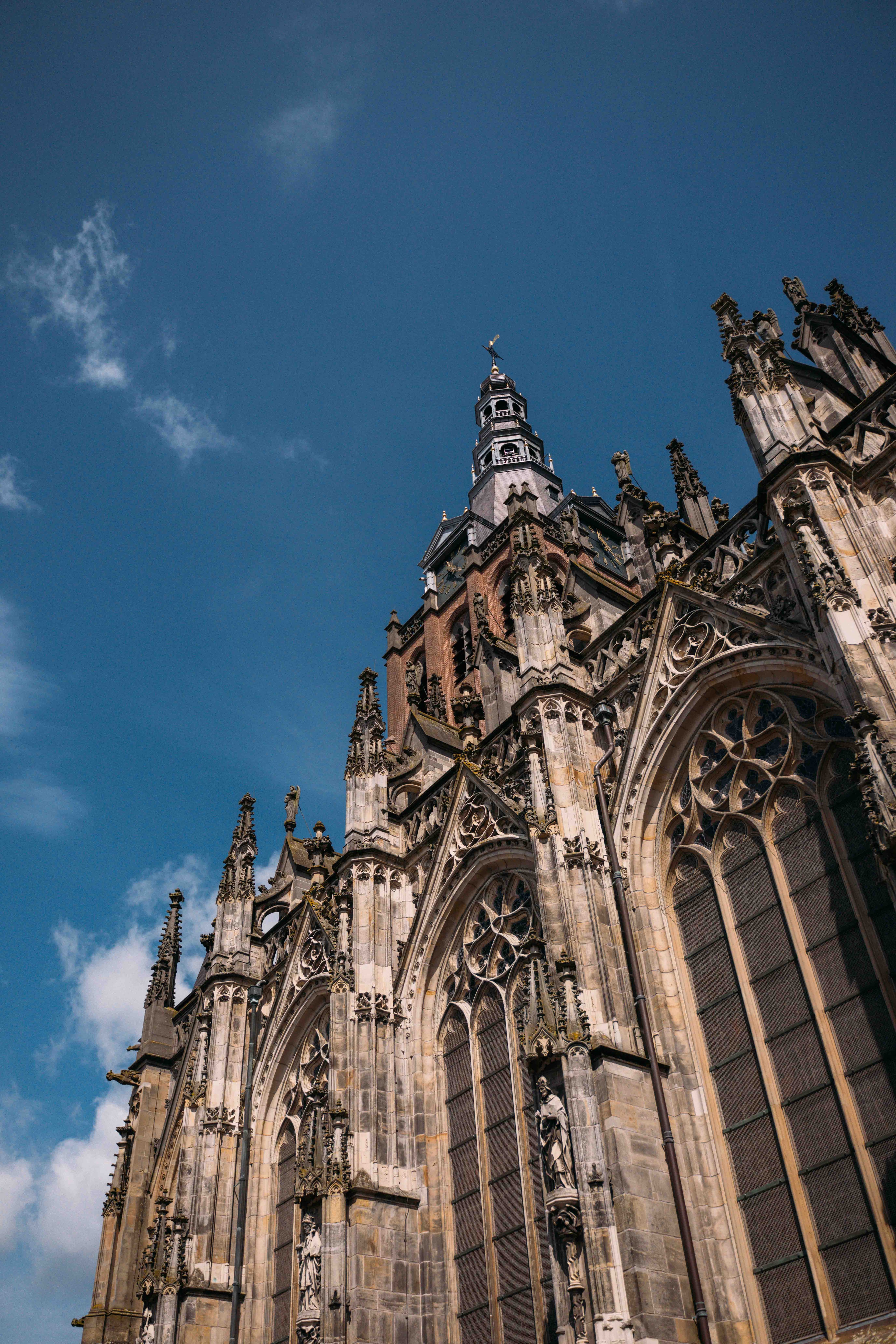 Sint Janscathedraal close-up in Den Bosch vanuit Kasteel Steenenburg