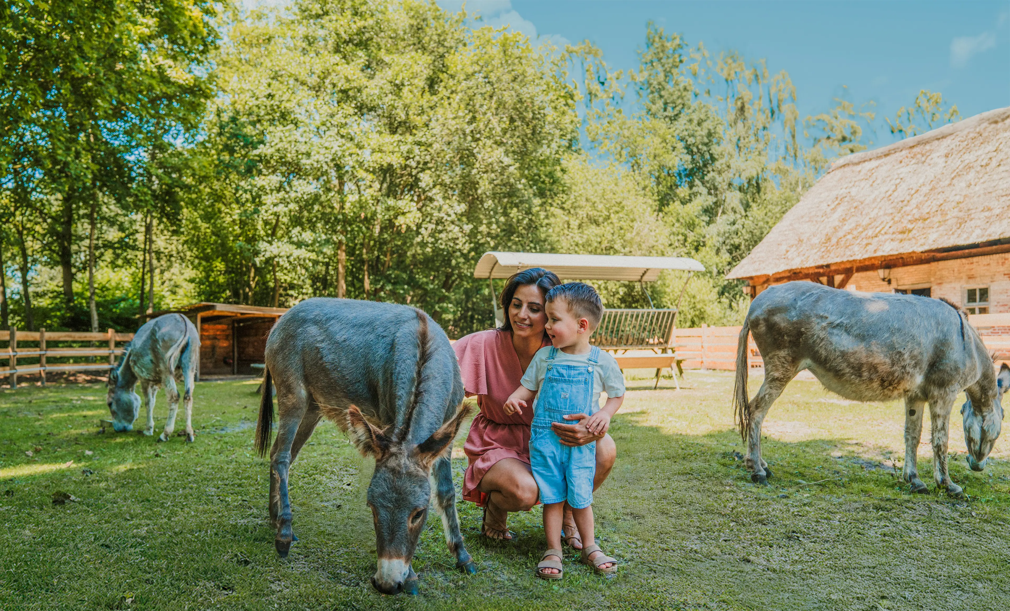 Moeder en zoon bij ezels zomer bewerkt Vakantiepark Dierenbos