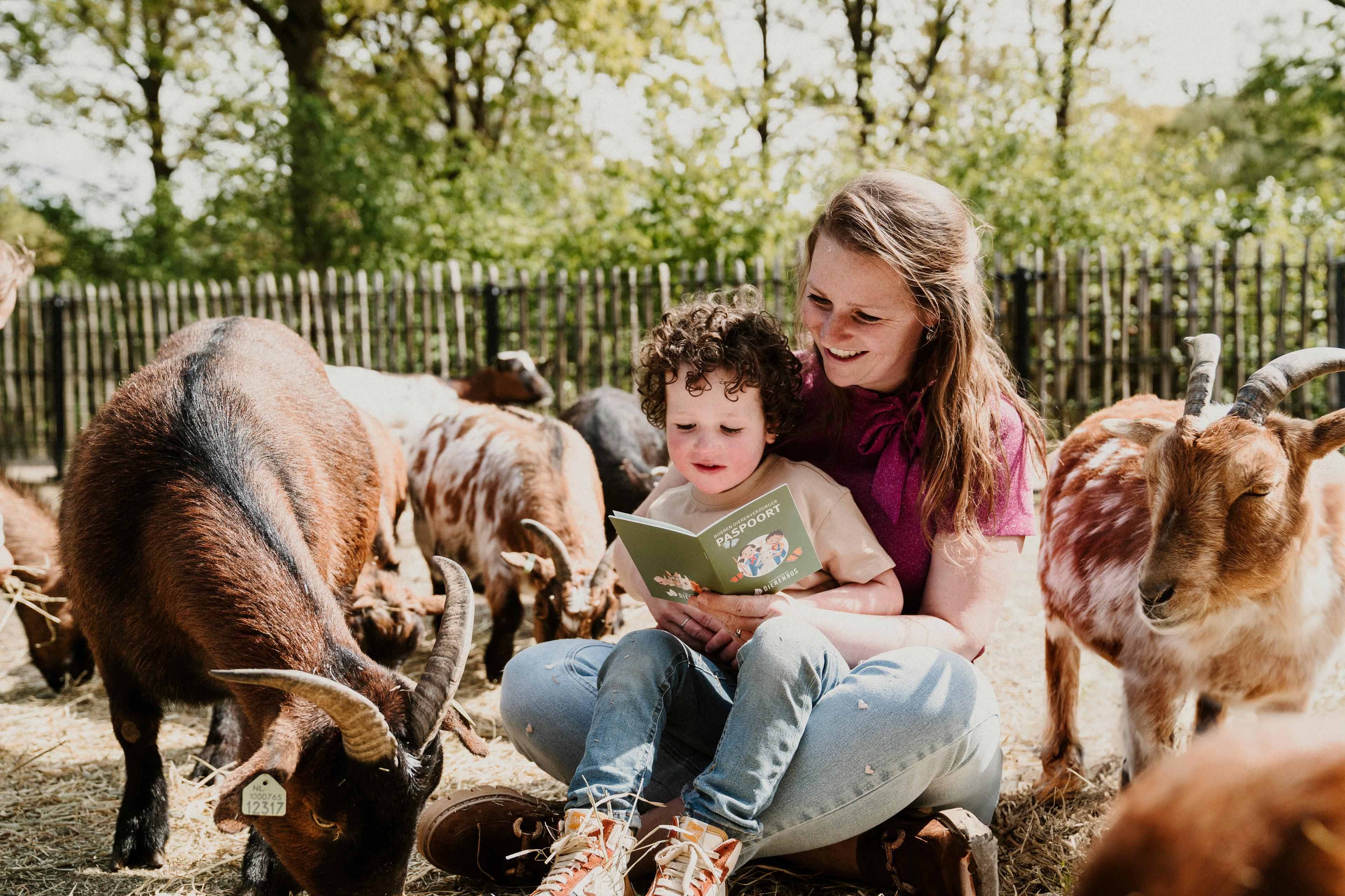 Een moeder en haar kind lezen een boekje bij vakantiepark Dierenbos tussen de geitjes