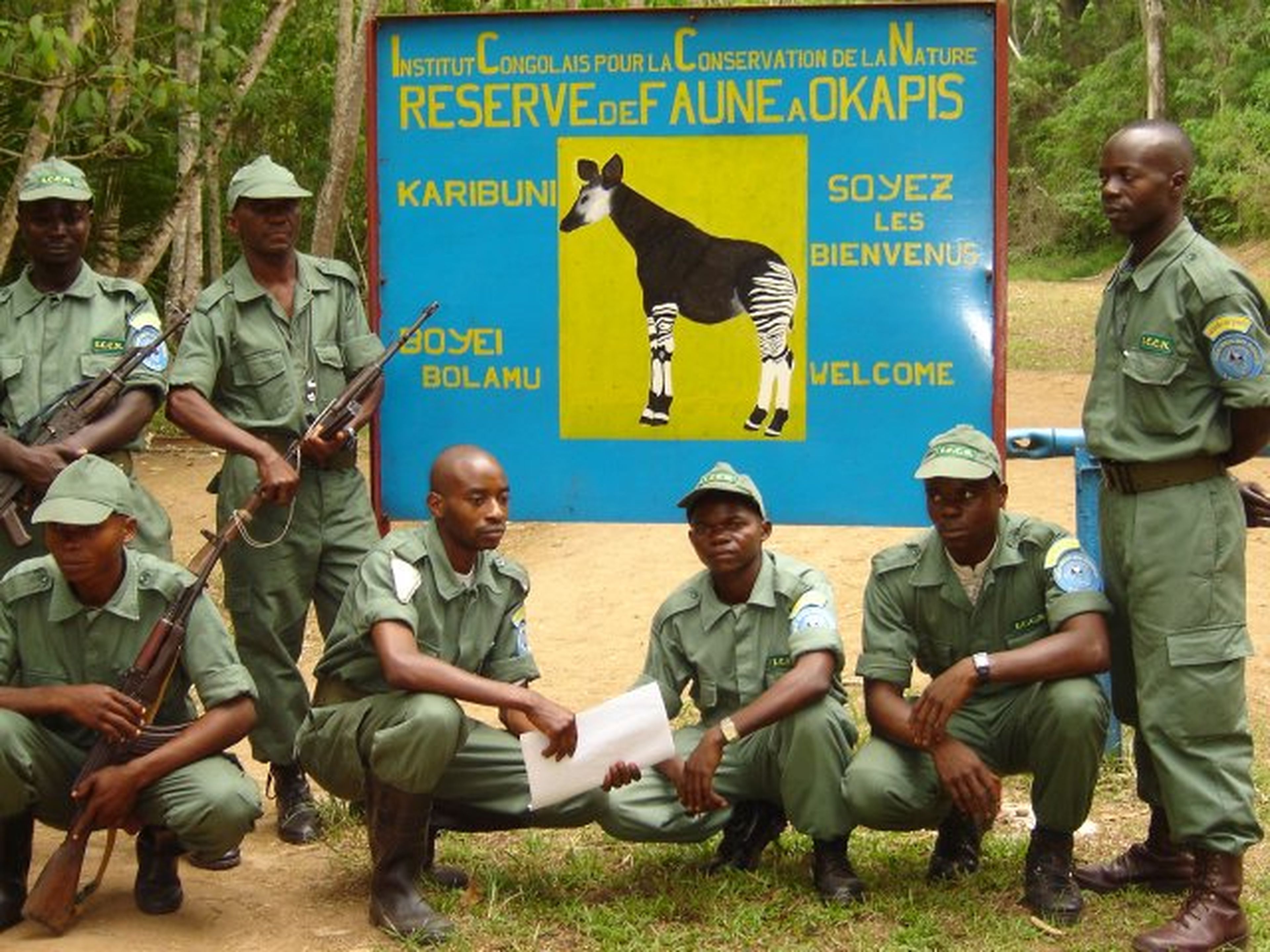 De vrijwilligers van het Okapi Conservation Project in het regenwoud in de Democratische Republiek Congo