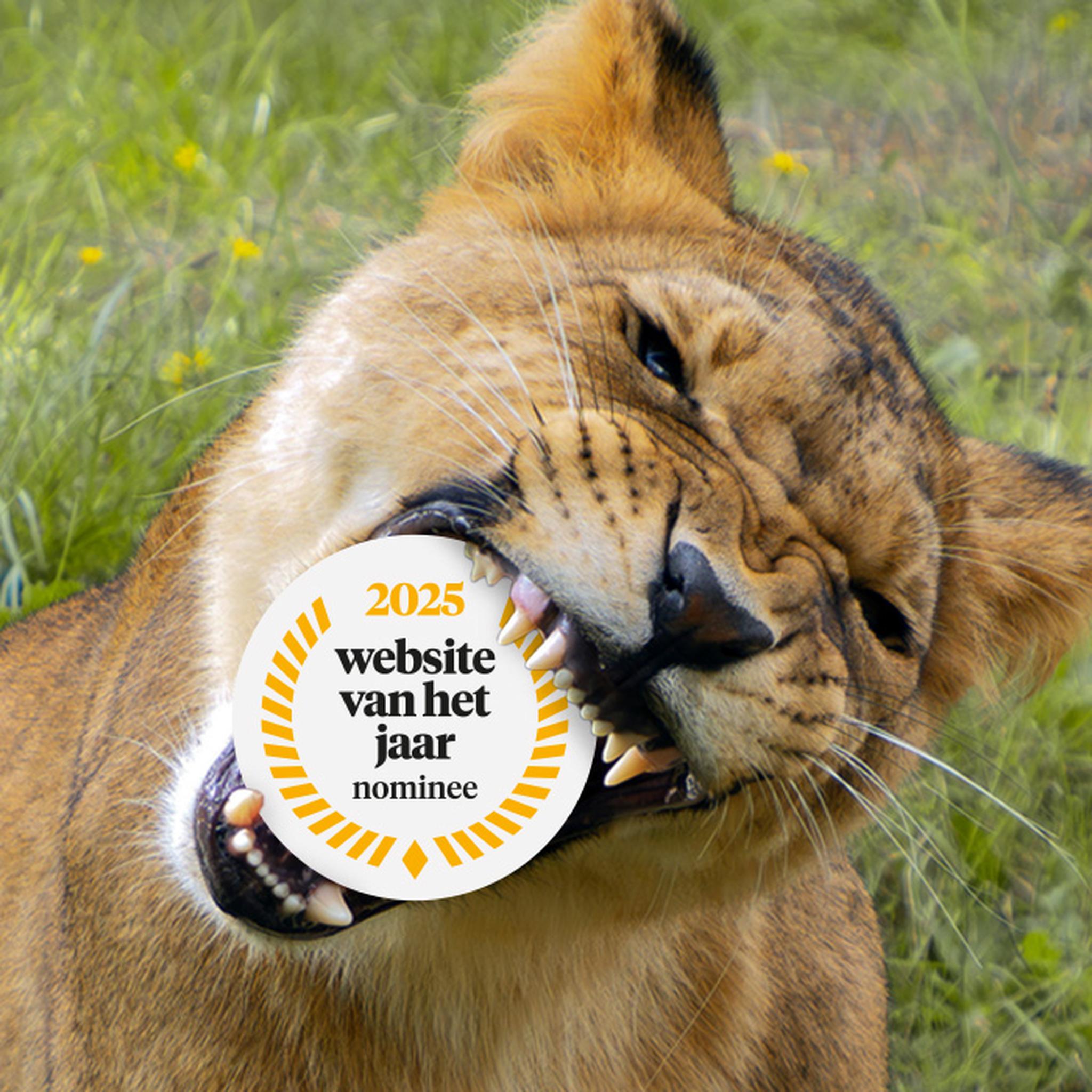 Visual website van het jaar verkiezing Beekse Bergen