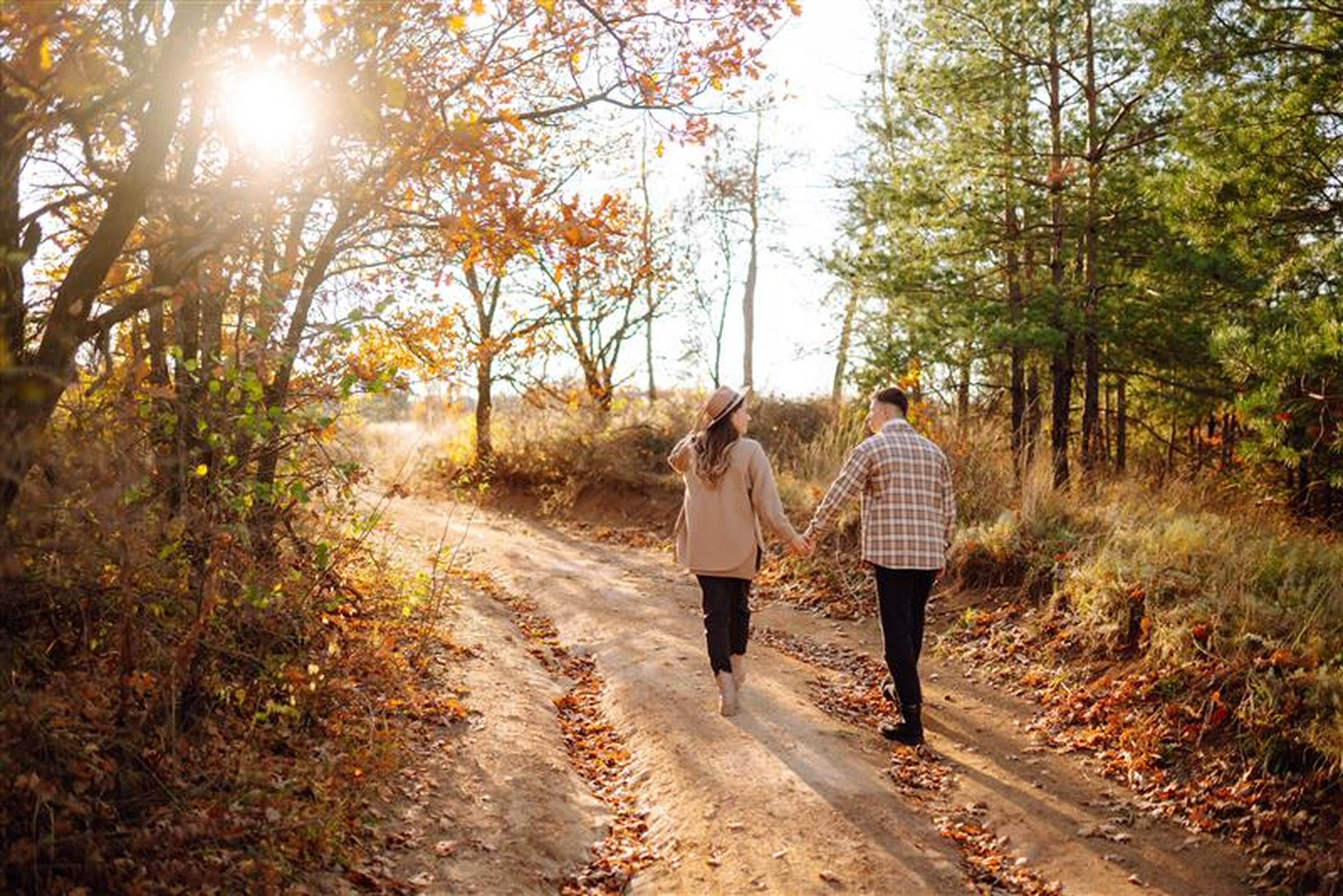 Wandelen in de omgeving van Kasteel Steenenburg