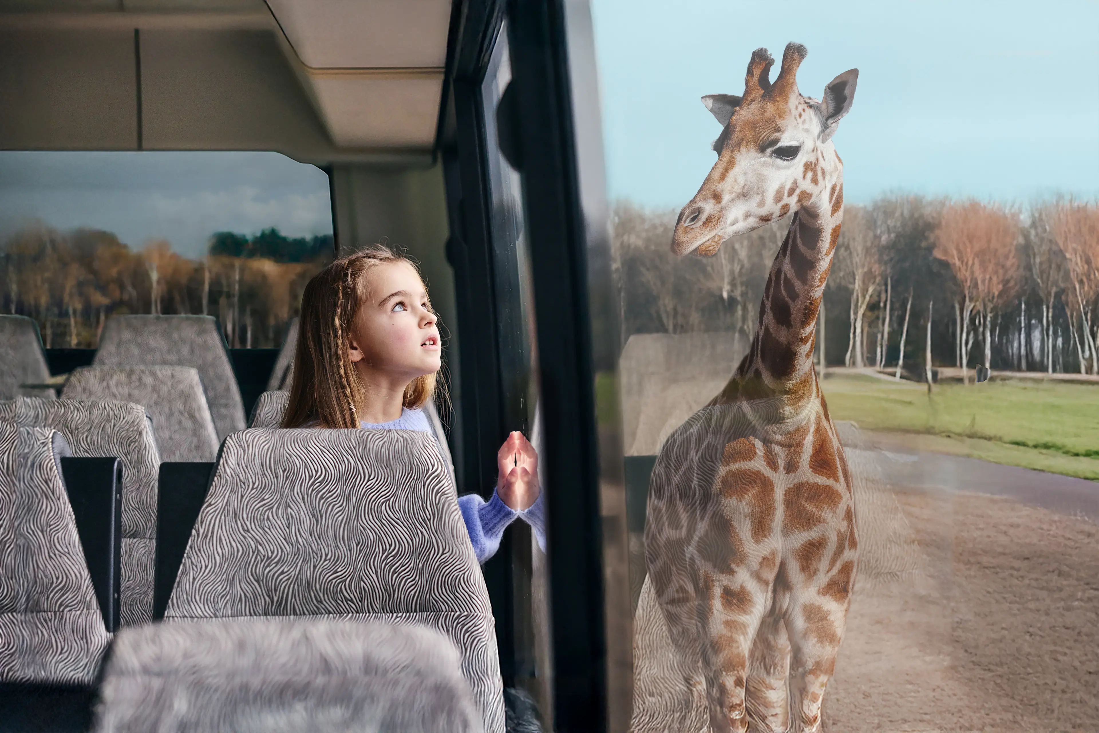 Herfst bussafari een meisje met giraf in Safaripark Beekse Bergen