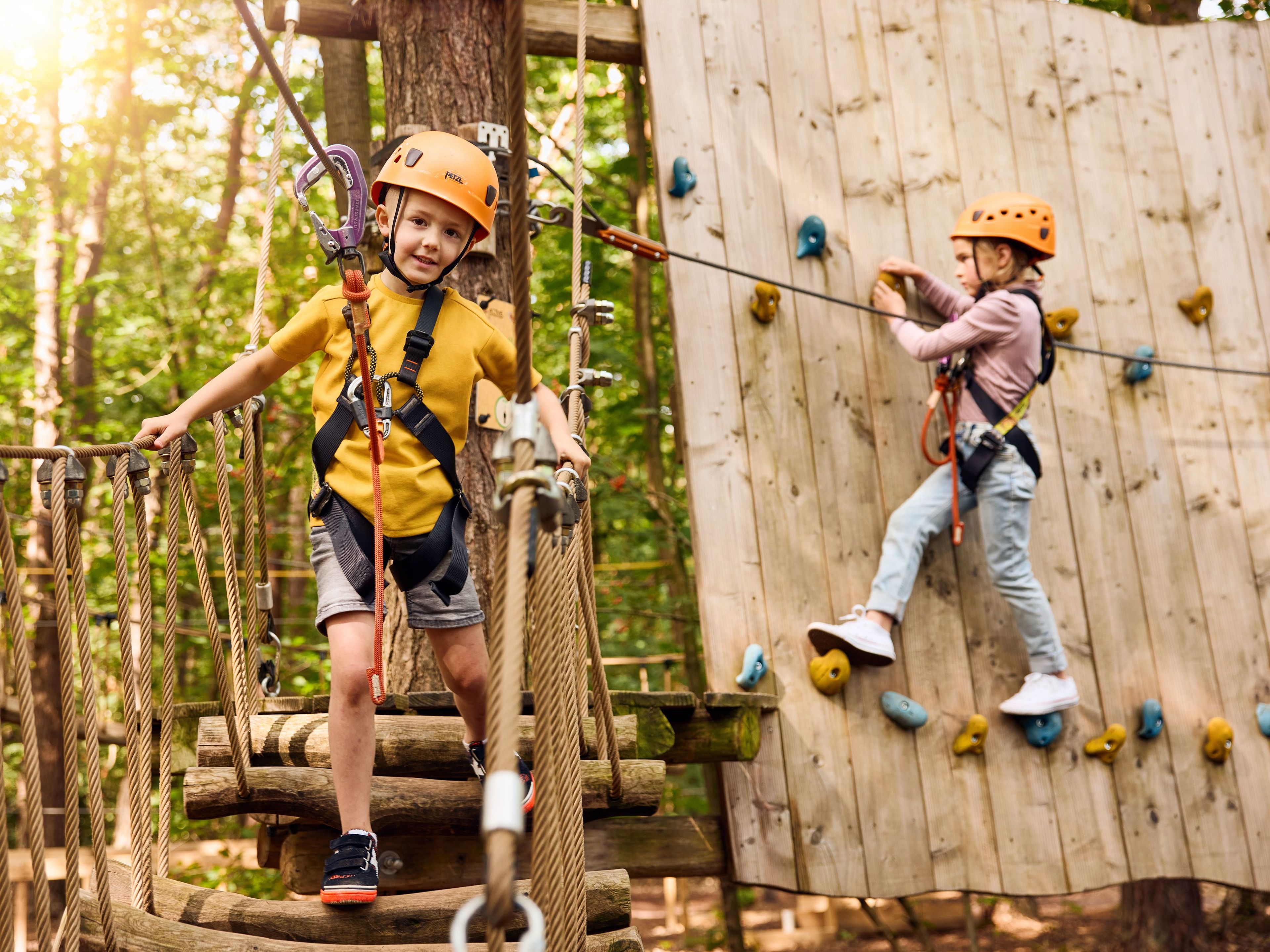 Kinderen klimmen op het klimparcours met klimwand en loopbrug bij Klimrijk Brabant
