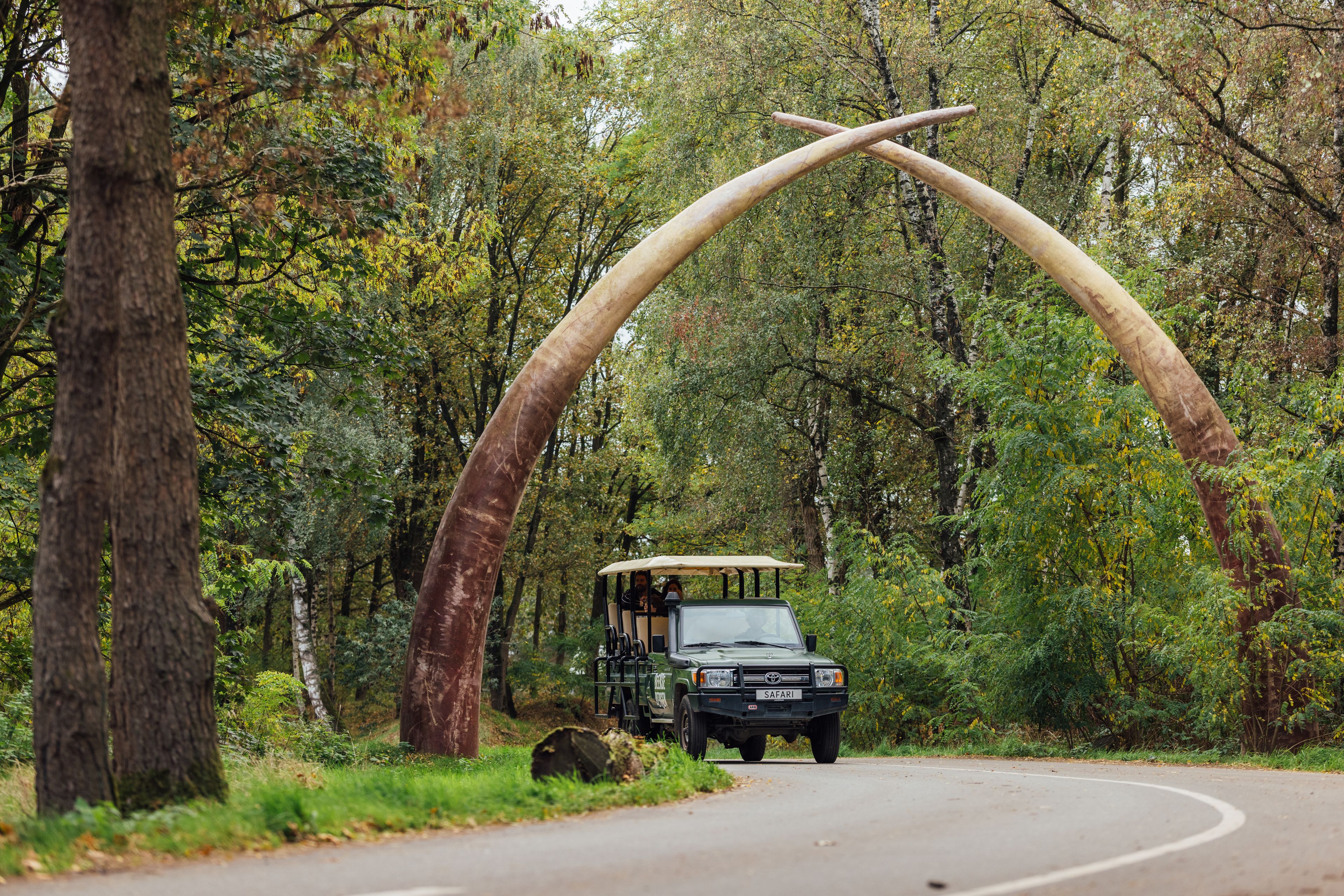 Een gezin in een gamedrive bij Safaripark Beekse Bergen.