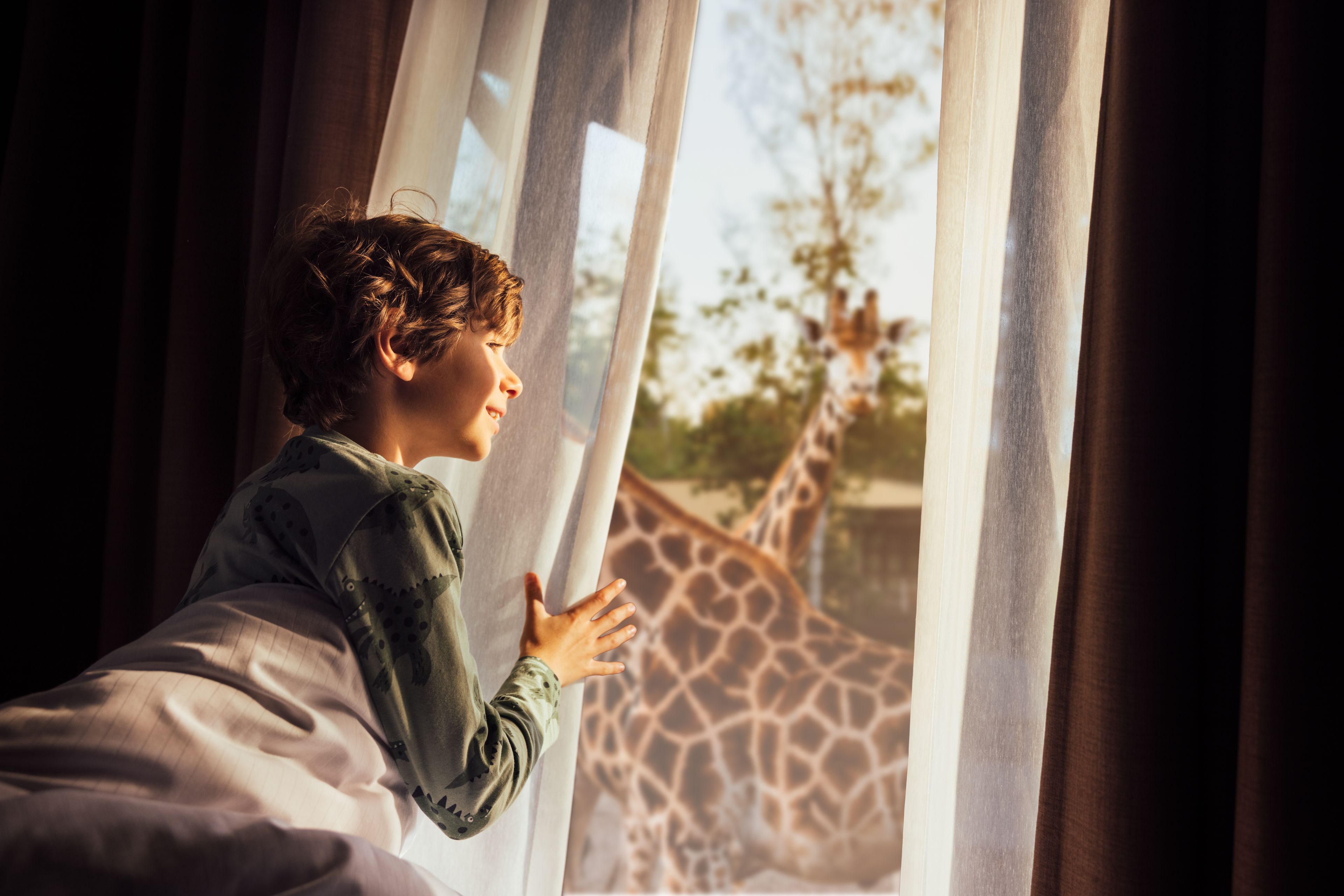 Een jongen kijkt door het raam naar giraffen bij Safari Hotel Beekse Bergen.