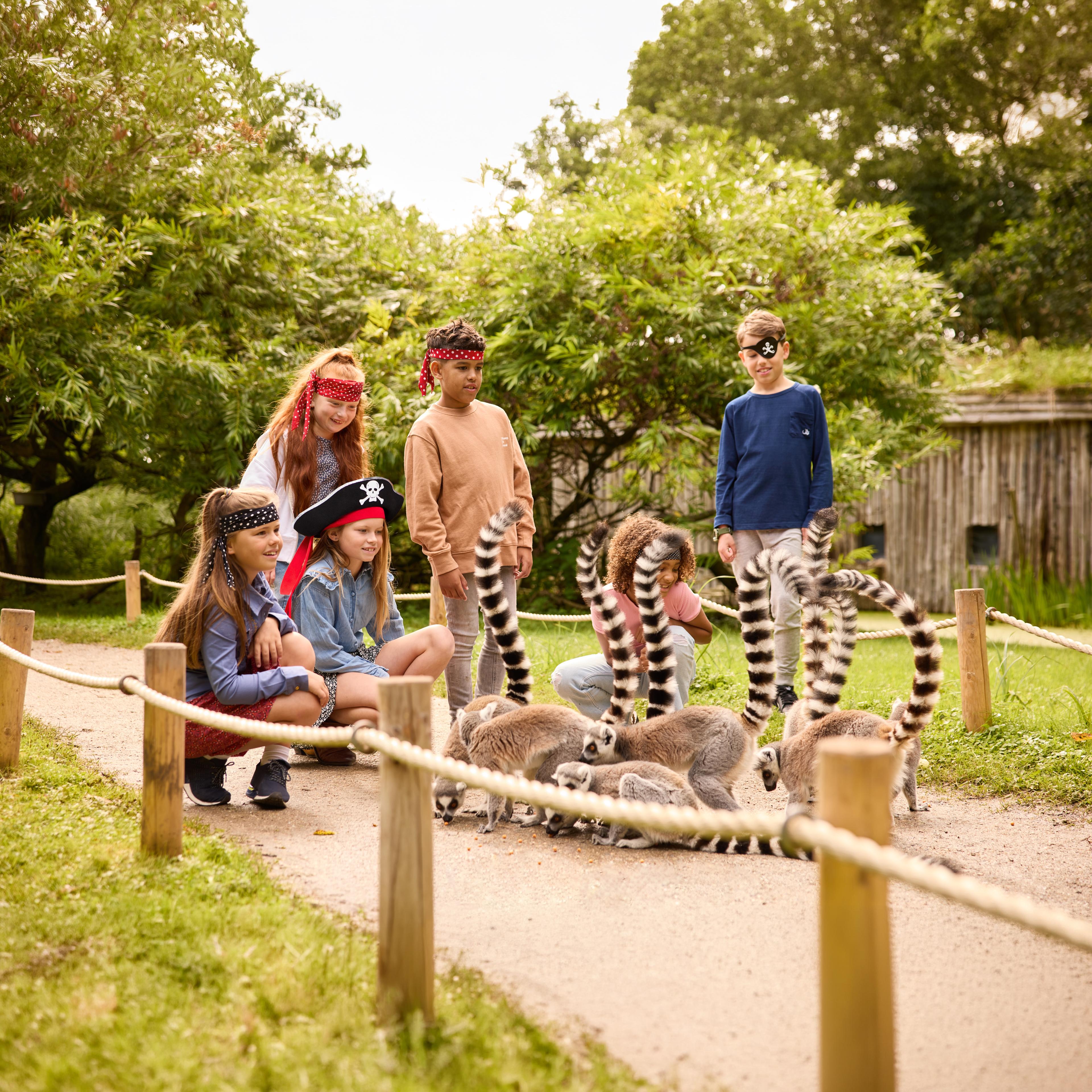 Kinderen als piraat bij de ringstaartmaki's tijdens Piraten in de Zoo in AquaZoo Leeuwarden