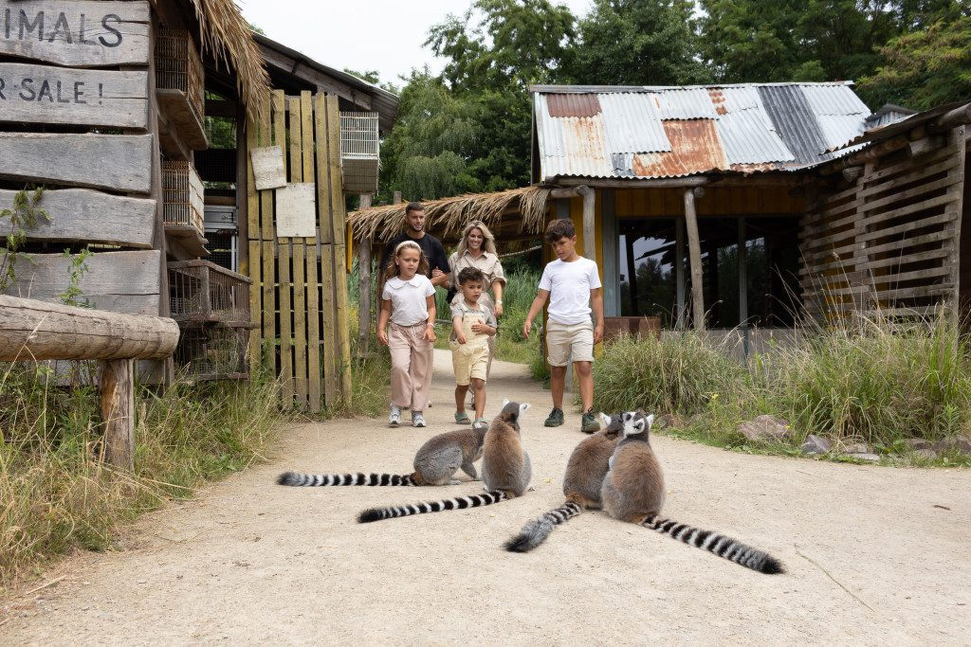 ZooParc gezin makis wandelen
