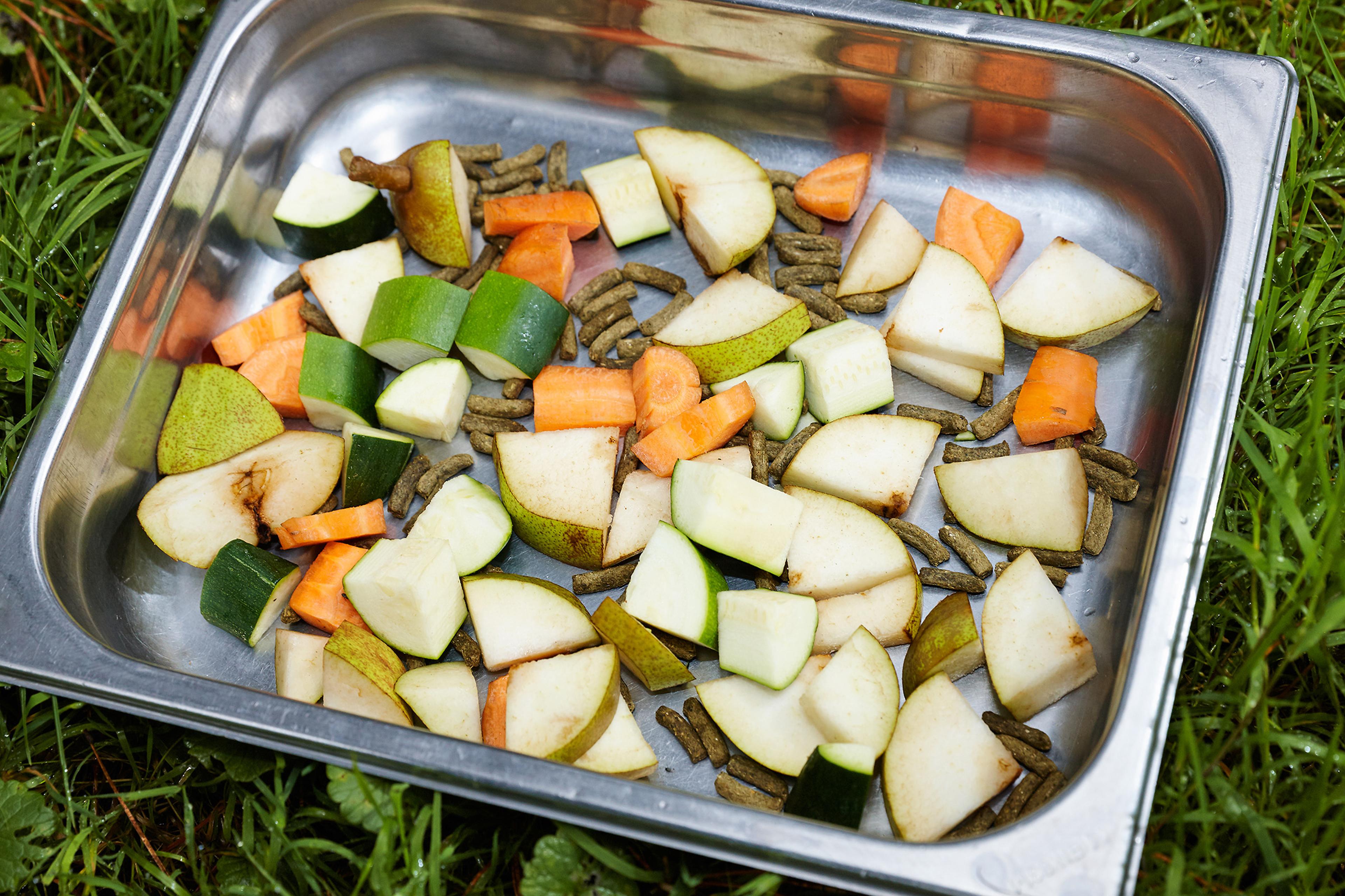 Voederbak voor dieren