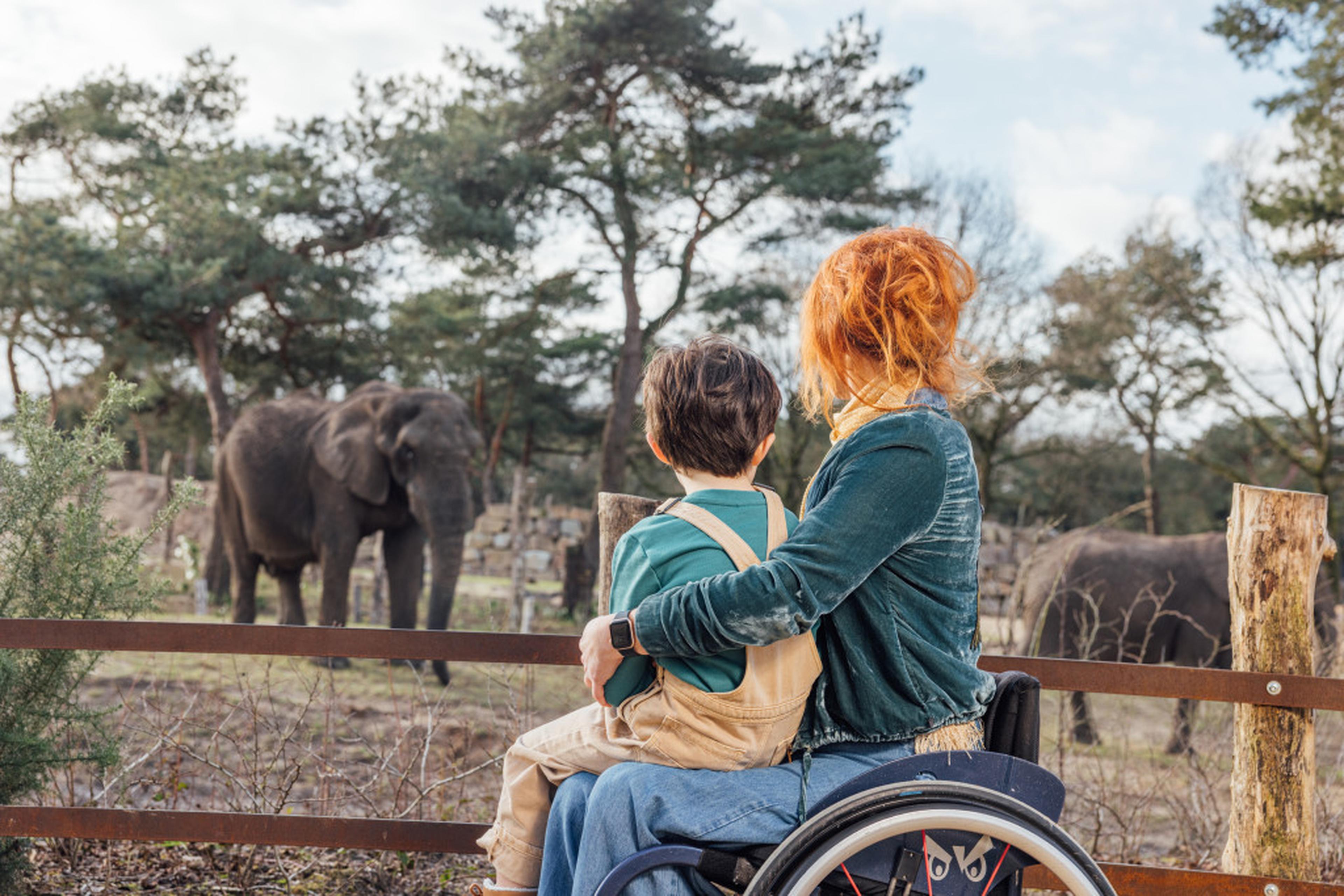 Moeder in rolstoel bij Olifantenvallei