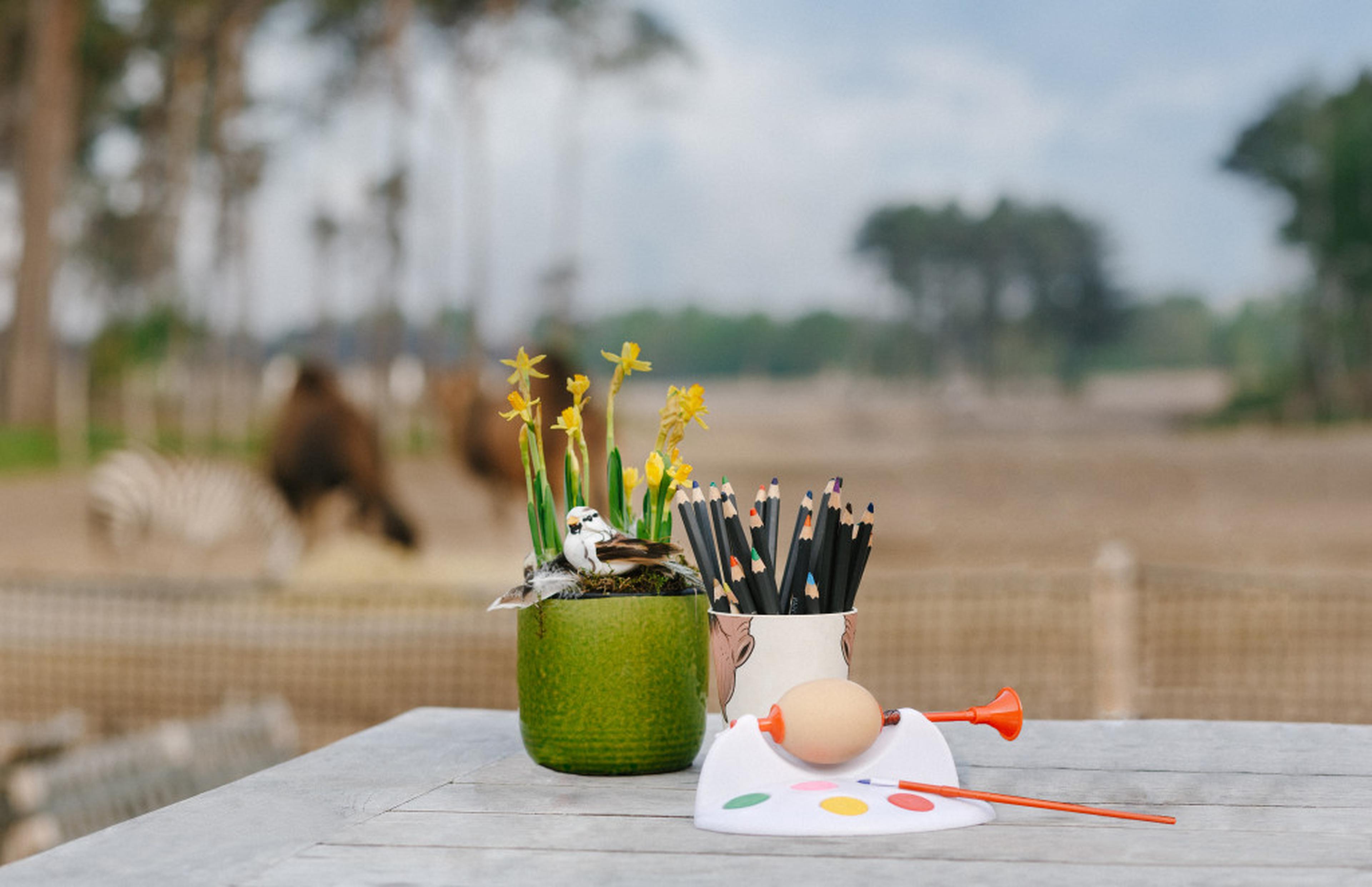 Paaseieren schilderen