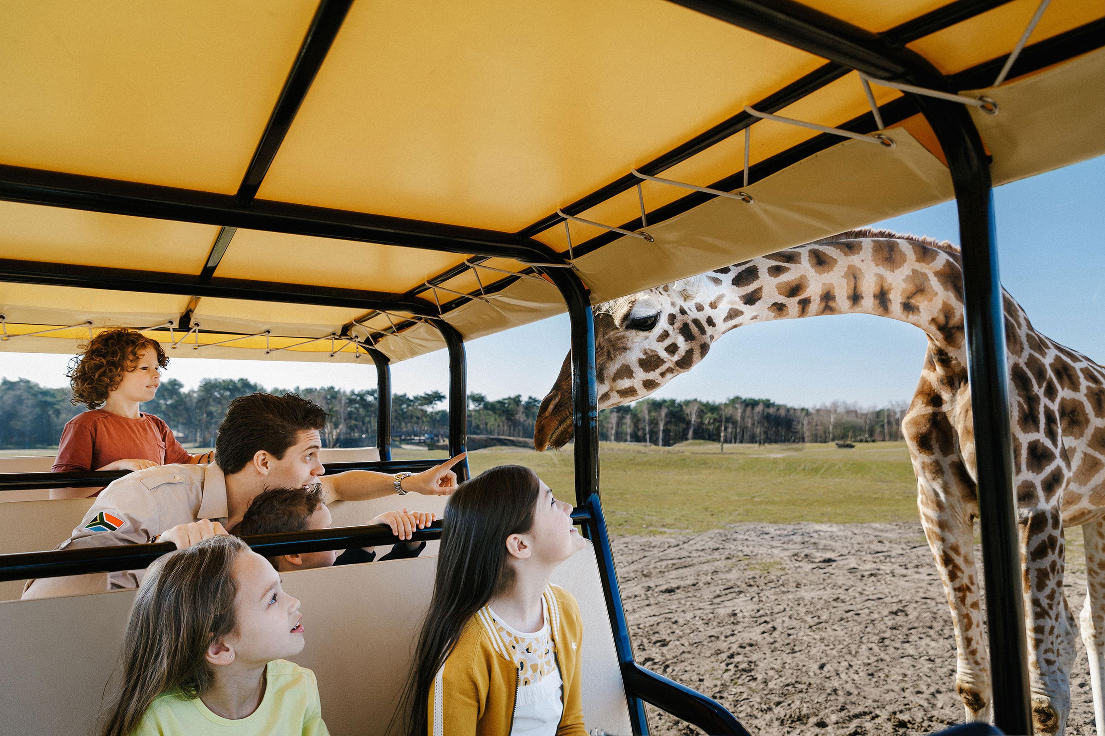 Safaripark gamedrive